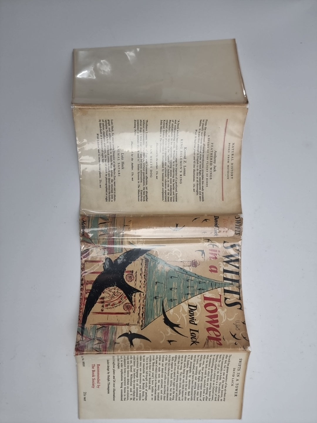 Swifts in a Tower - David Lack - 1956 1st Edition, Fine HB-DJ