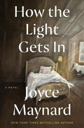 How the Light Gets In: A Novel cover image