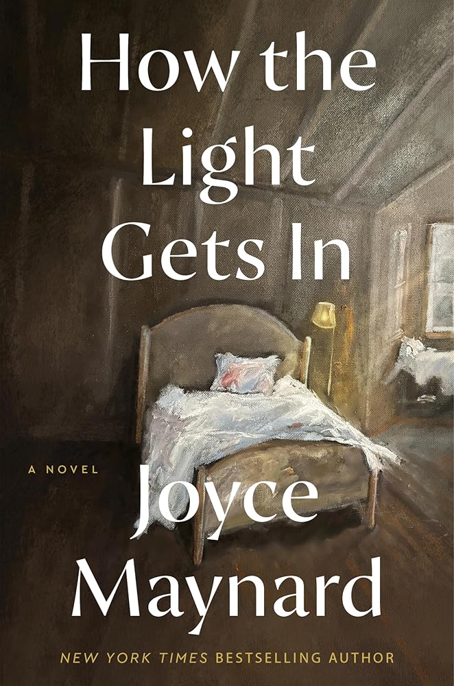How the Light Gets In: A Novel cover image