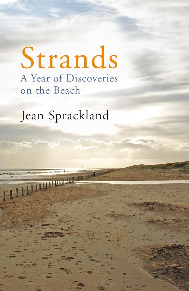 Strands: A Year of Discoveries on the Beach cover image