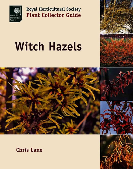 Witch Hazels (ROYAL HORTICULTURAL SOCIETY PLANT COLLECTOR GUIDE, RHS/Timber Press Plant Collector Guides) cover image