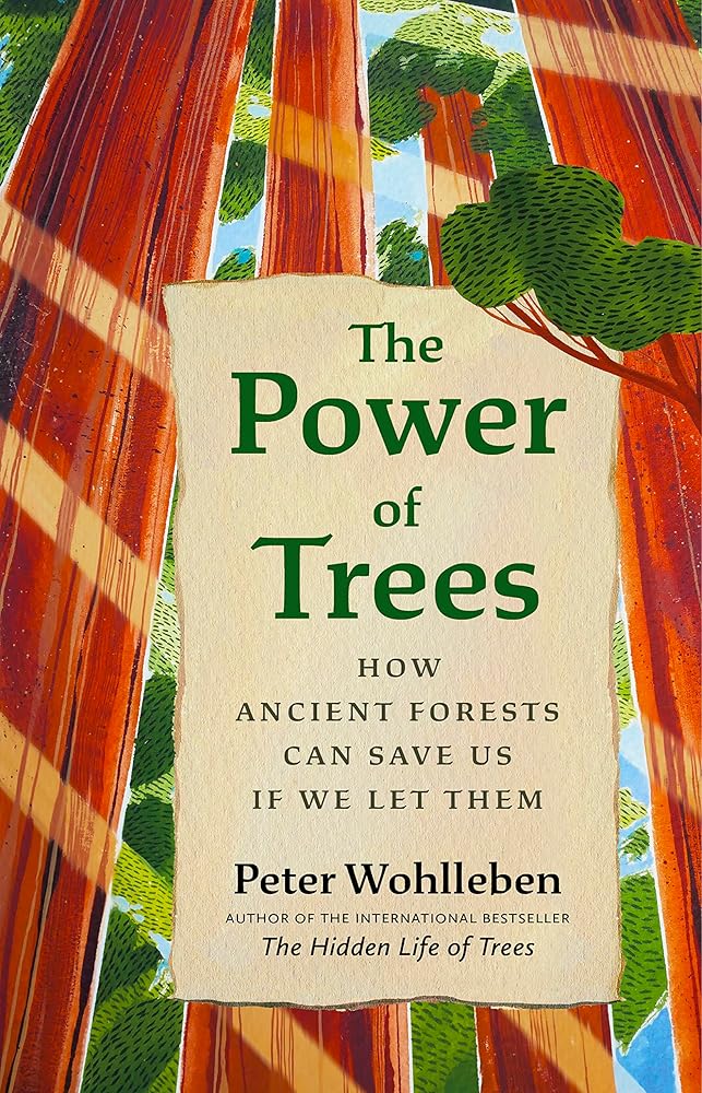 The Power of Trees: How Ancient Forests Can Save Us if We Let Them (From the Author of The Hidden Life of Trees) cover image
