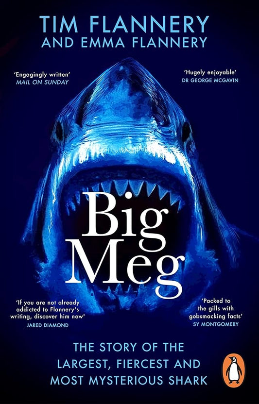 Big Meg: The Story of the Largest, Fiercest and Most Mysterious Shark cover image