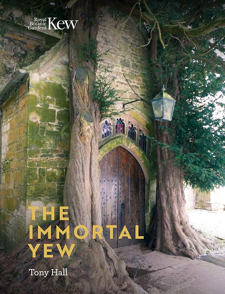 The Immortal Yew cover image