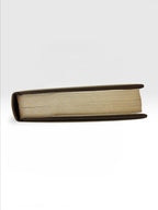 Dando On Delhi Ridge William Clive first edition vintage book top view