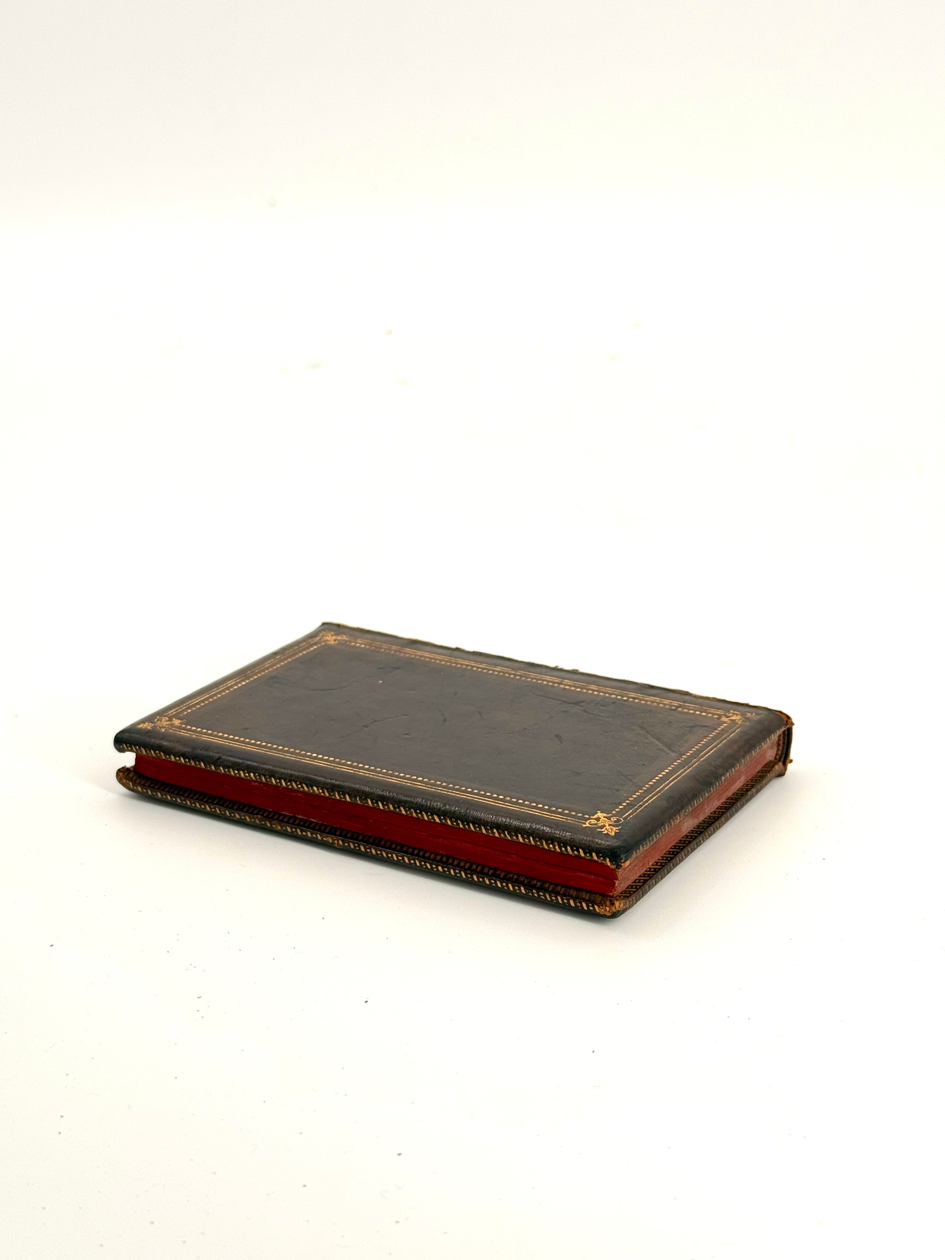 Ivo and Verena; Or The Snowdrop —1855 Edition