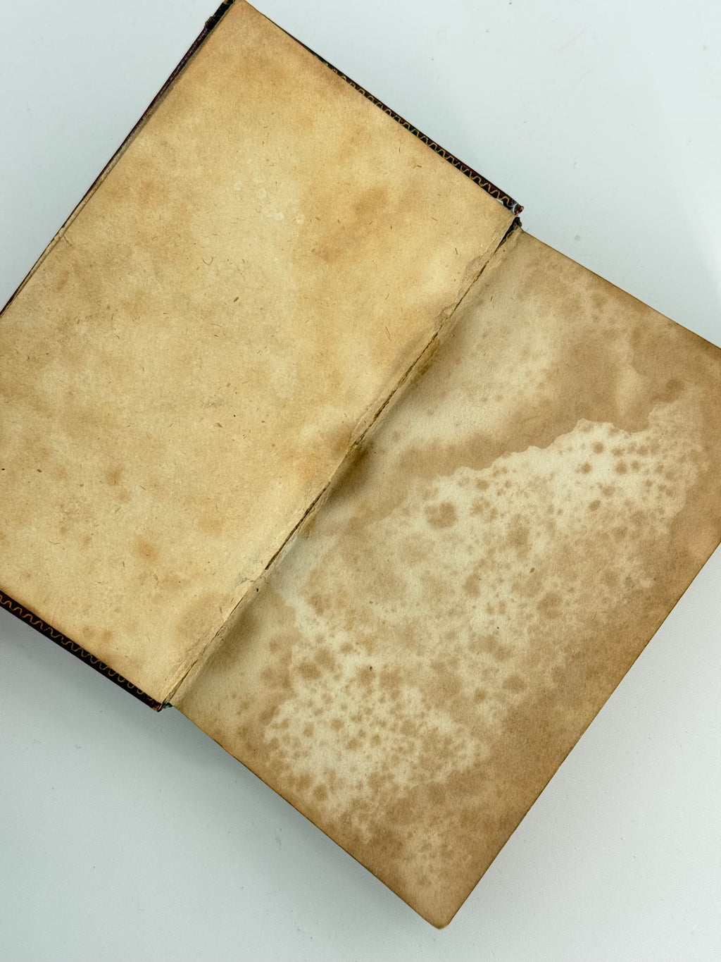 Paradise Lost: A Poem in Twelve Books, John Milton — Later Suttaby Edition