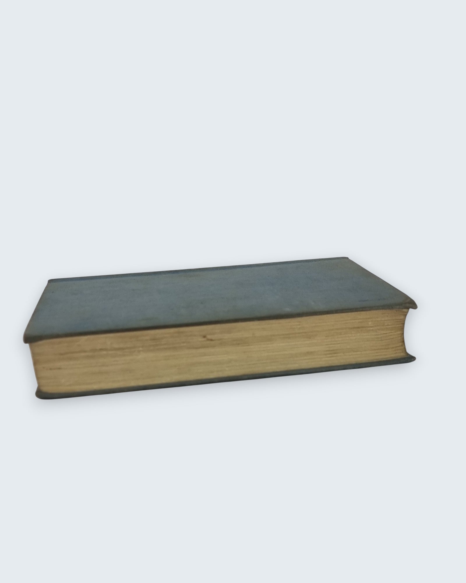 Scotland Yard Takes a Holiday Luke Allan first edition vintage book angled view