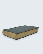 Scotland Yard Takes a Holiday Luke Allan first edition vintage book side angled view