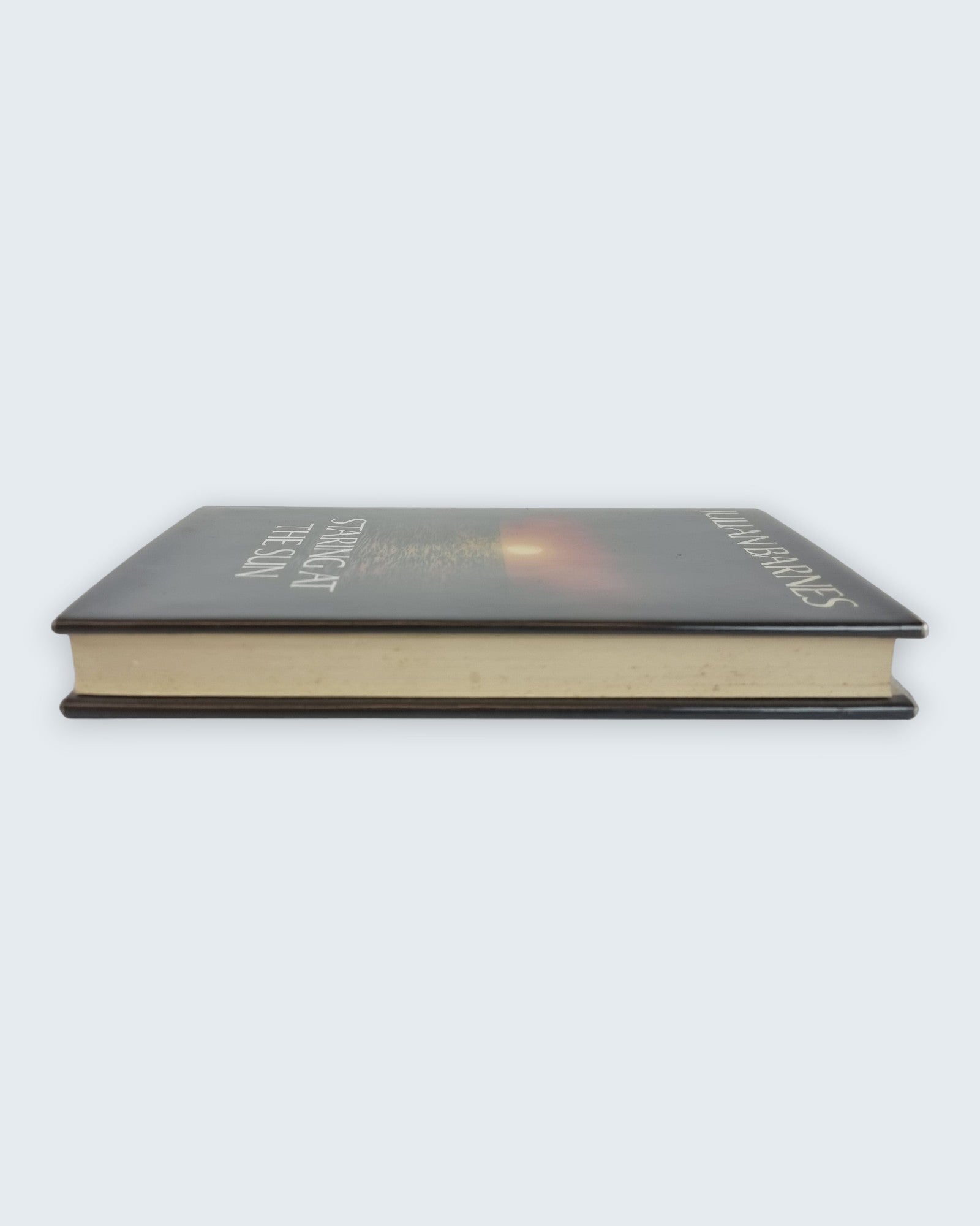 Staring at the Sun Julian Barnes publishers review copy vintage book laying angled view