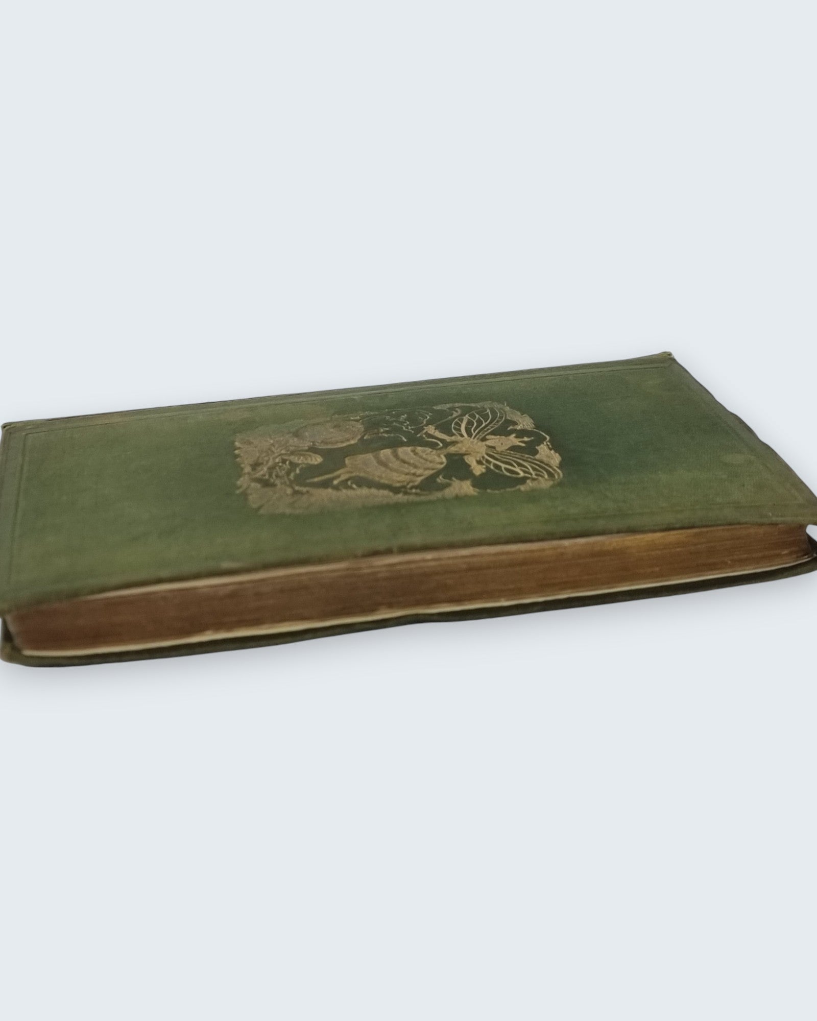 The Good Genius That Turned Everything Into Gold Brothers Mayhew first edition vintage book laying angled view