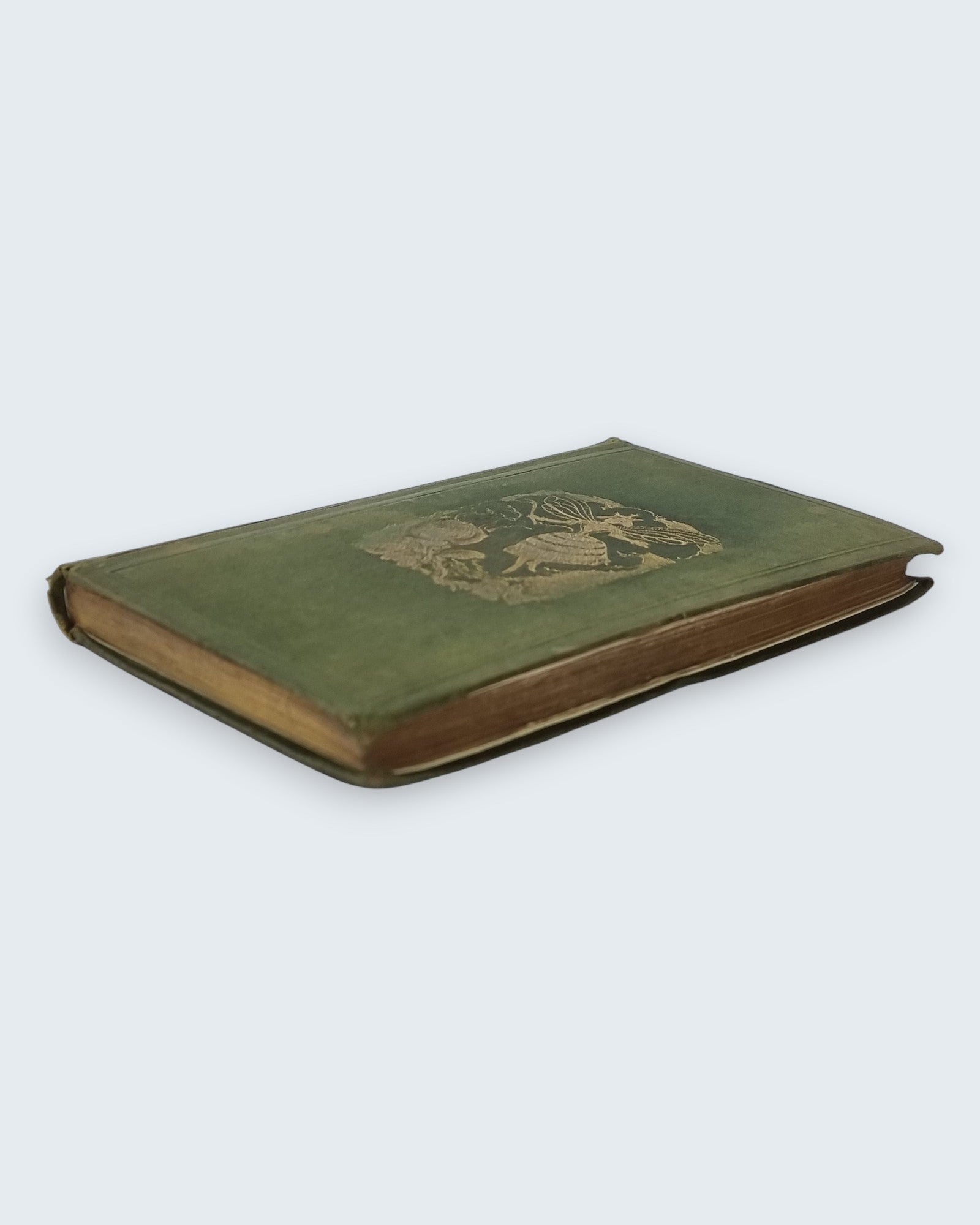 The Good Genius That Turned Everything Into Gold Brothers Mayhew first edition vintage book side angled view