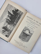Denizens of the Deep, Dr. G. Hartwig — 1st Edition