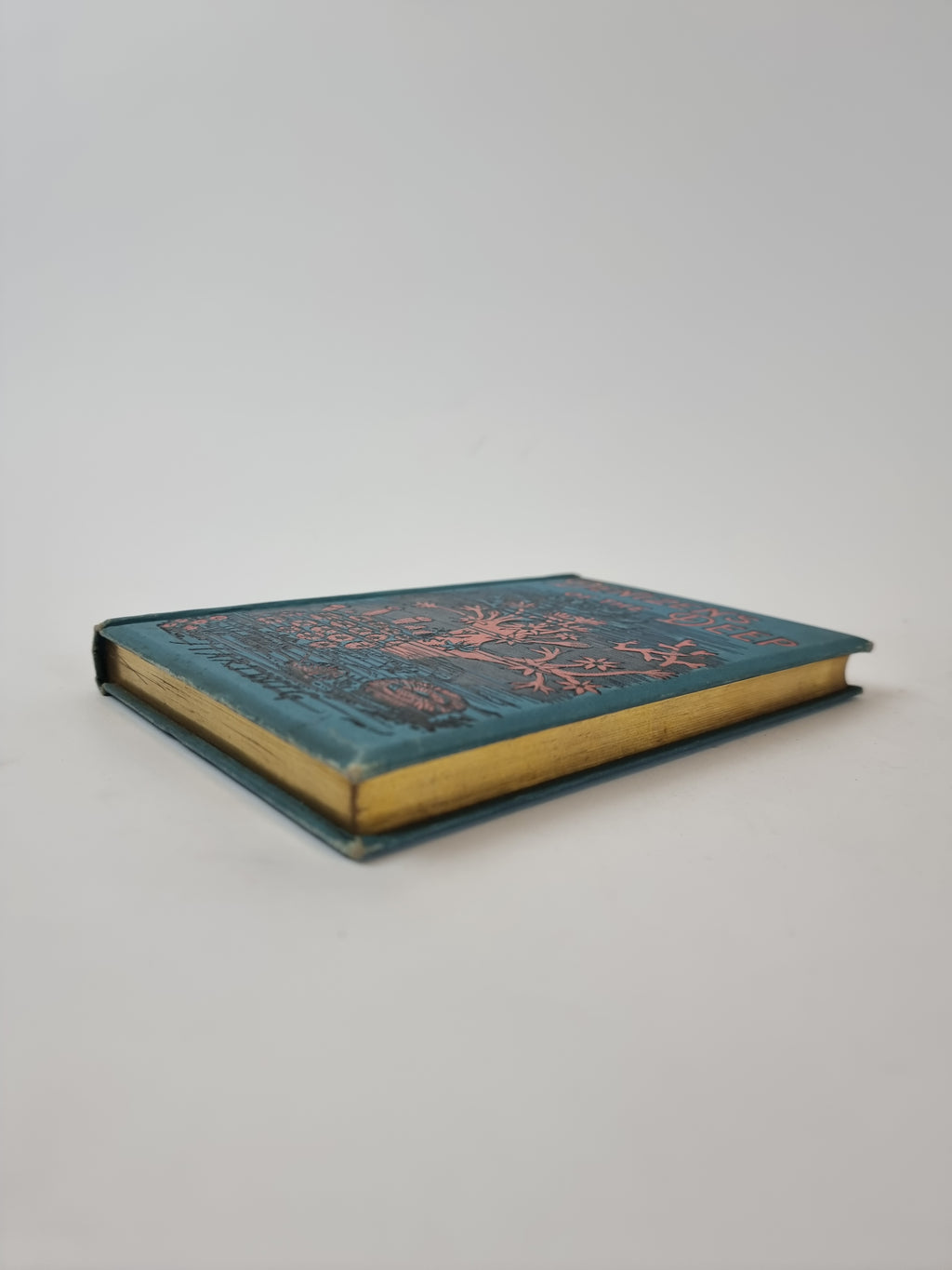Denizens of the Deep, Dr. G. Hartwig — 1st Edition