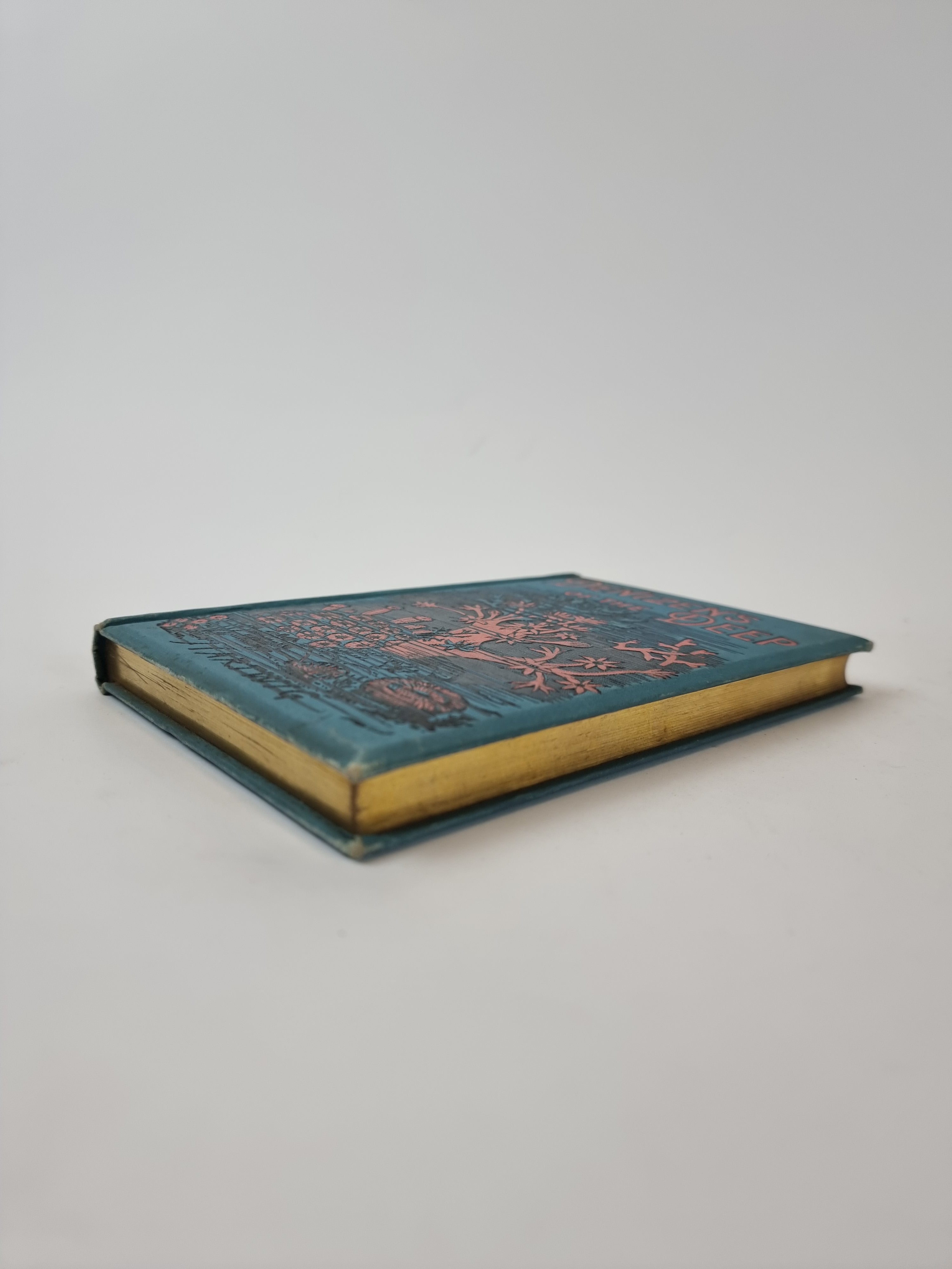 Denizens of the Deep, Dr. G. Hartwig — 1st Edition