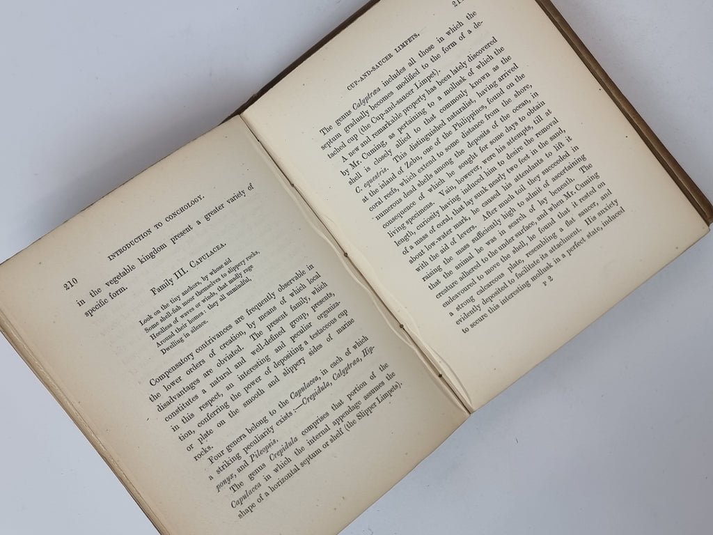 A Popular History of the Mollusca, Mary Roberts — 1st Edition