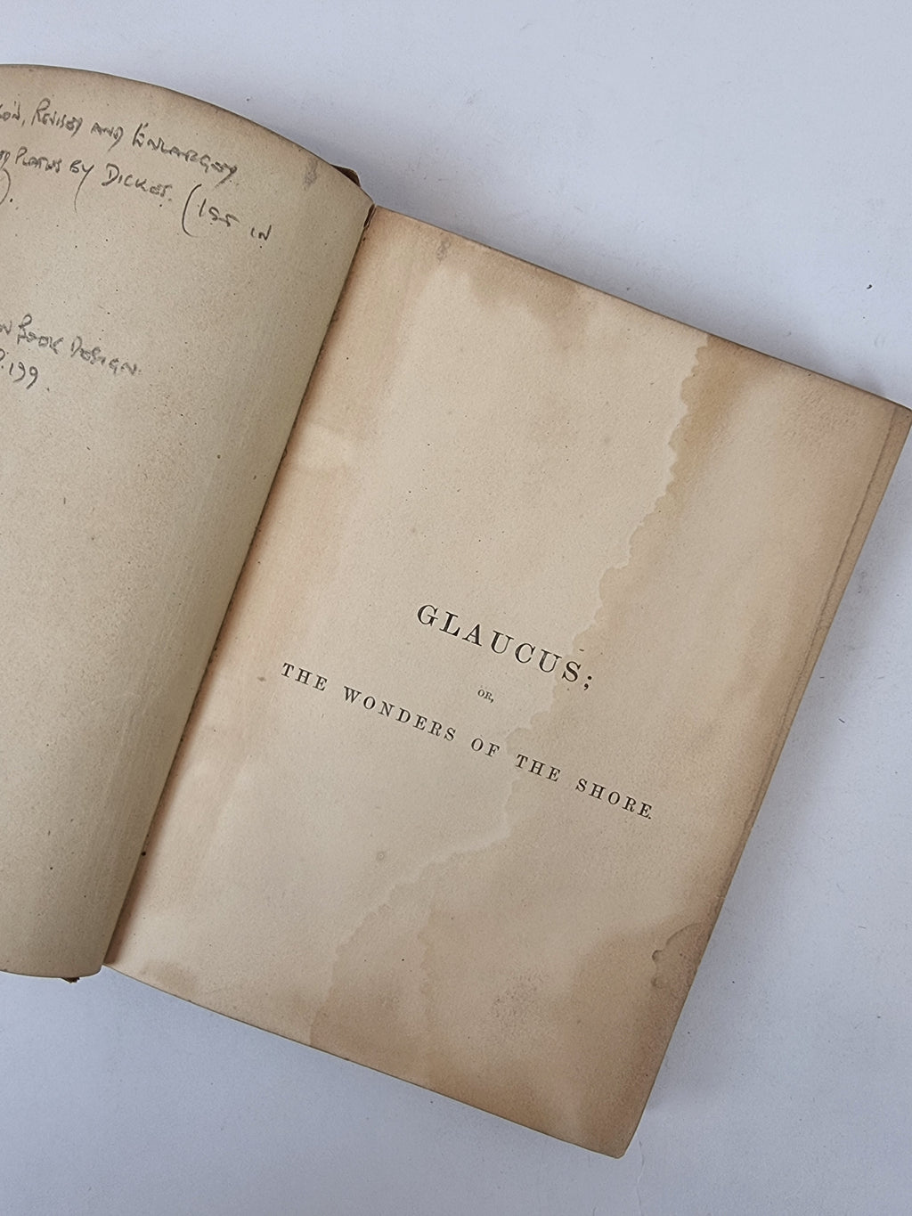 Glaucus; The Wonders of the Shore, Charles Kingsley — 4th Edition
