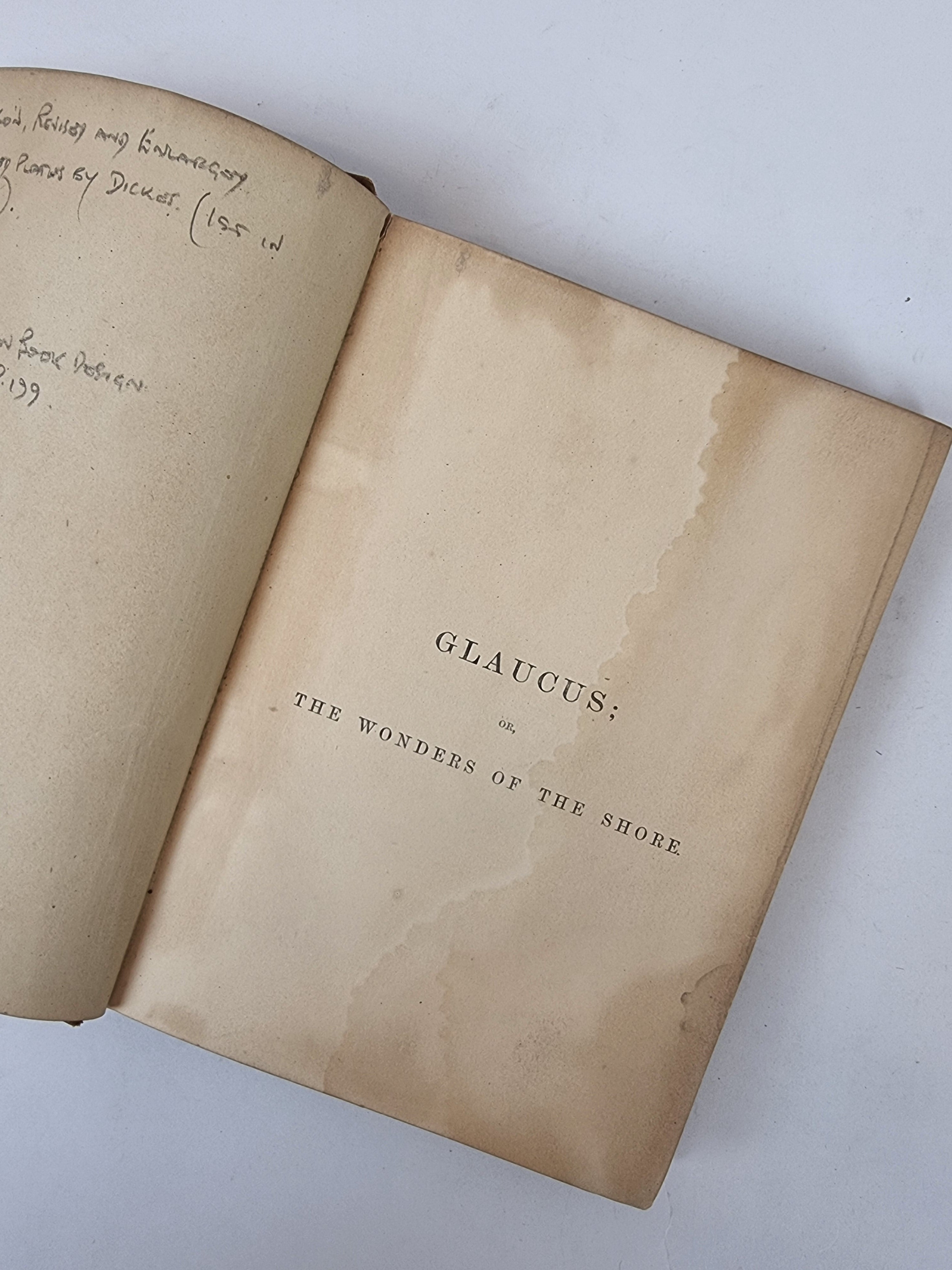 Glaucus; The Wonders of the Shore, Charles Kingsley — 4th Edition