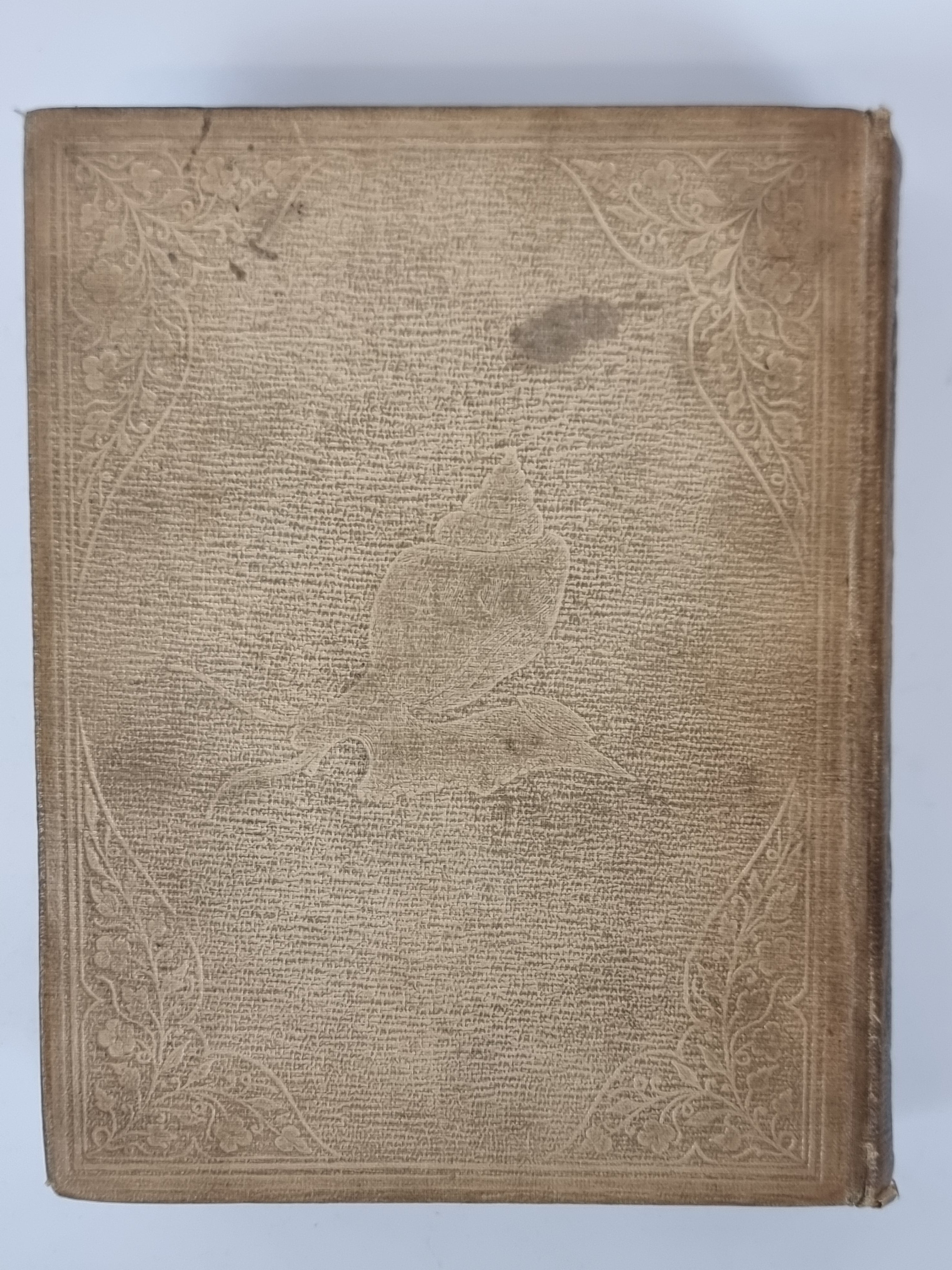A Popular History of the Mollusca, Mary Roberts — 1st Edition