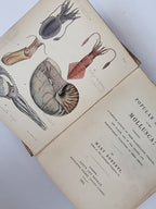 A Popular History of the Mollusca, Mary Roberts — 1st Edition