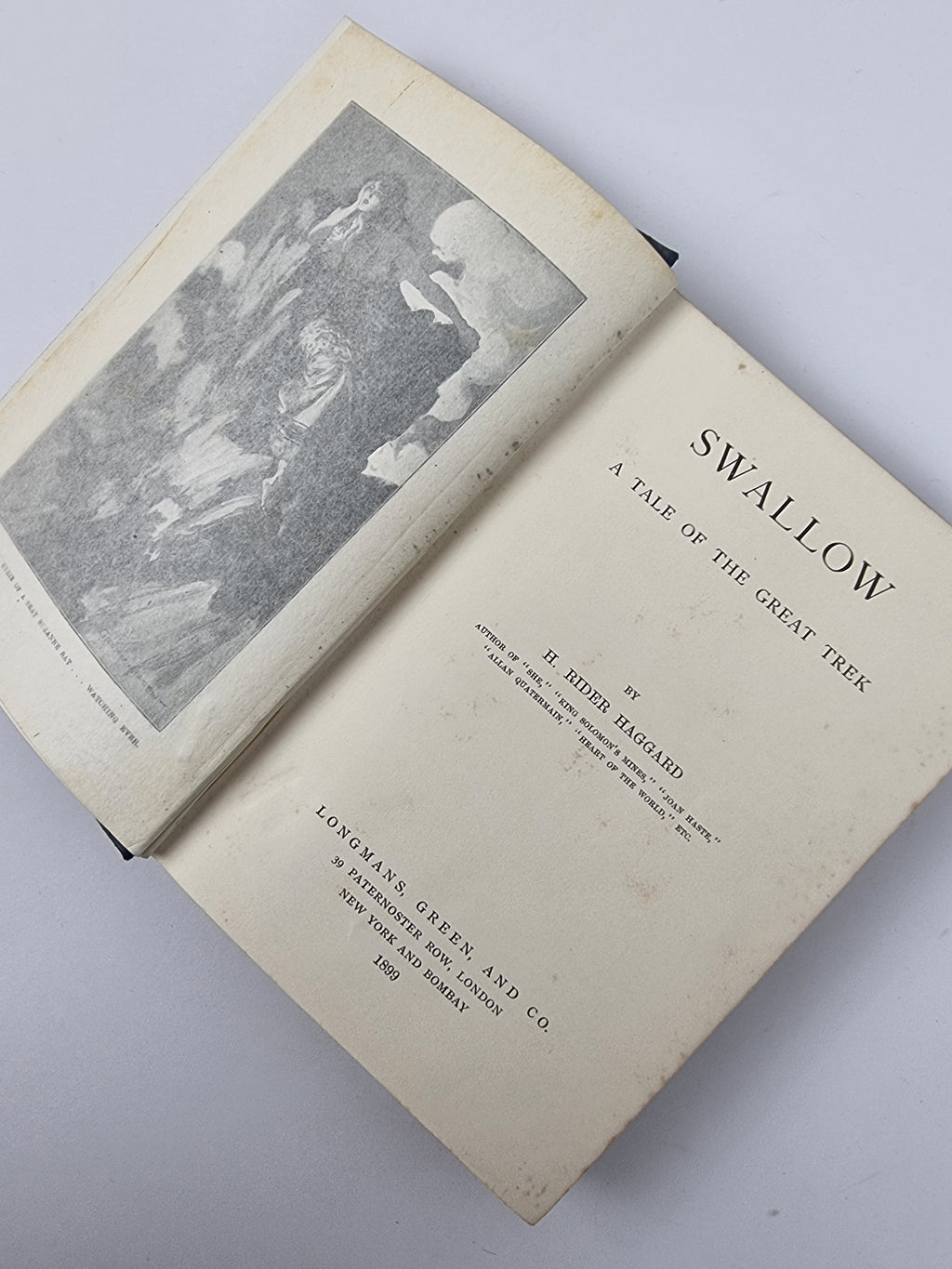 Swallow, H. Rider Haggard — 1st Edition