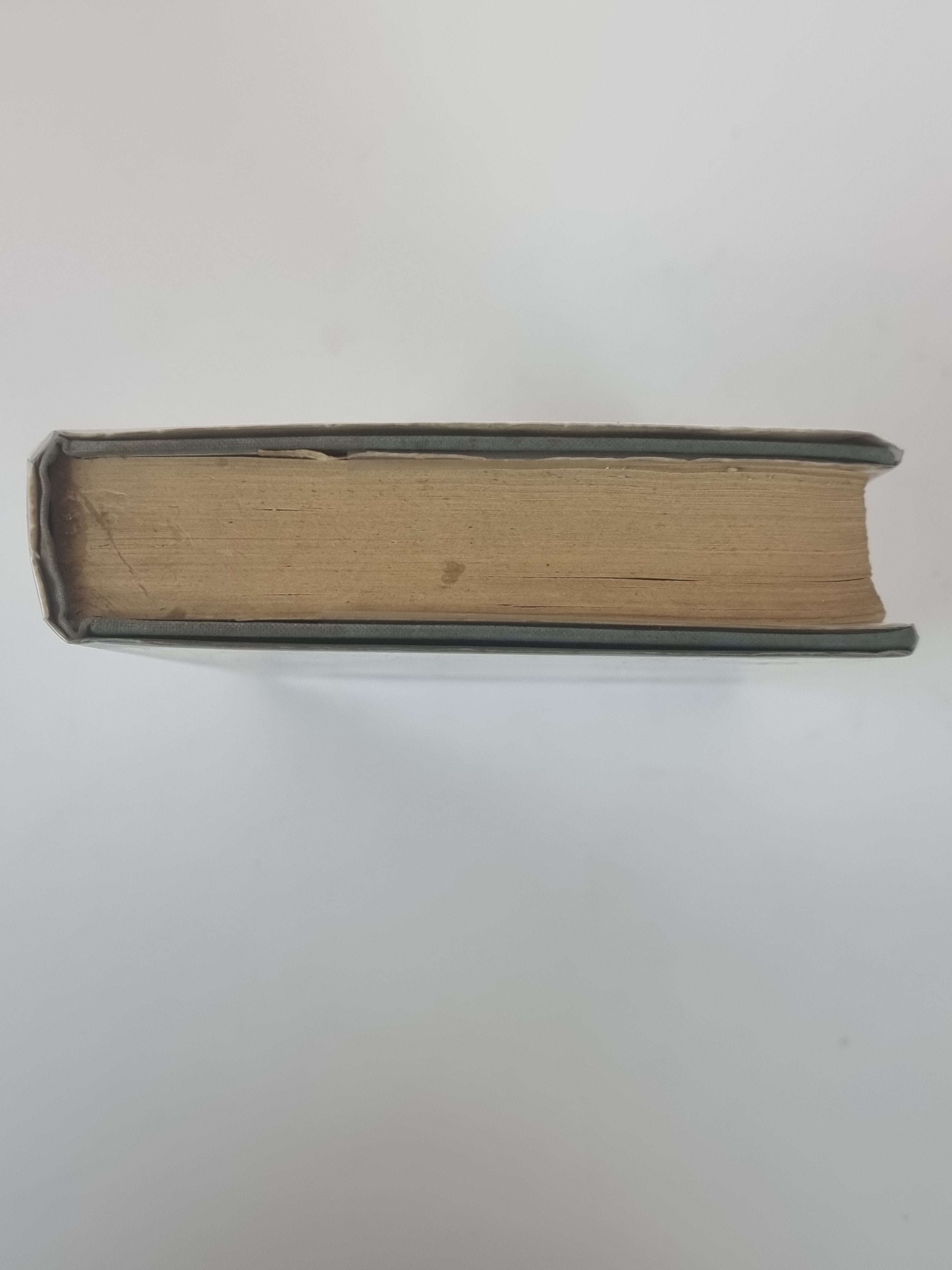 Stormy Petrel, Violet Needham — 1st Edition/Printing