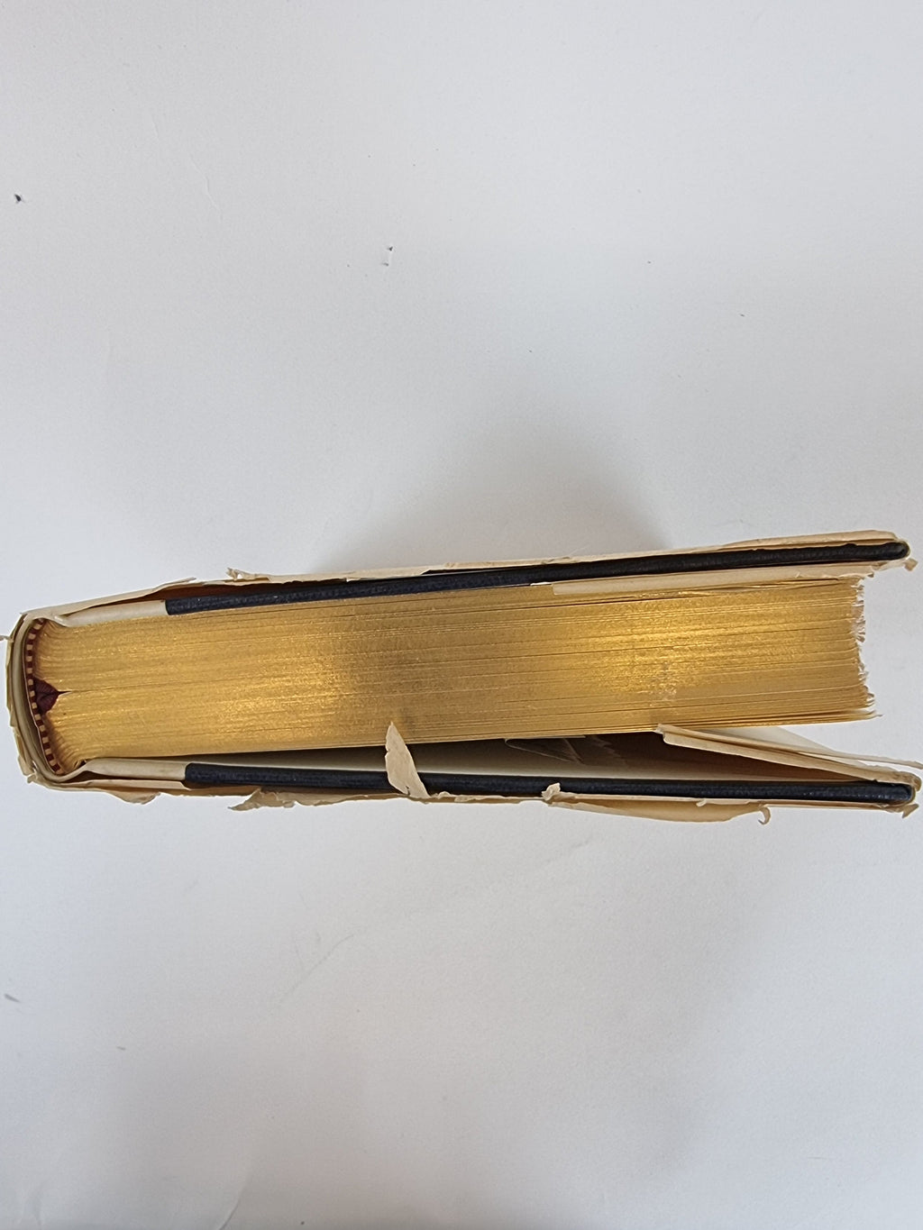 Boswell on the Grand Tour: Germany and Switzerland, 1764 — Deluxe Limited Edition