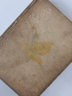 A Popular History of the Mollusca, Mary Roberts — 1st Edition