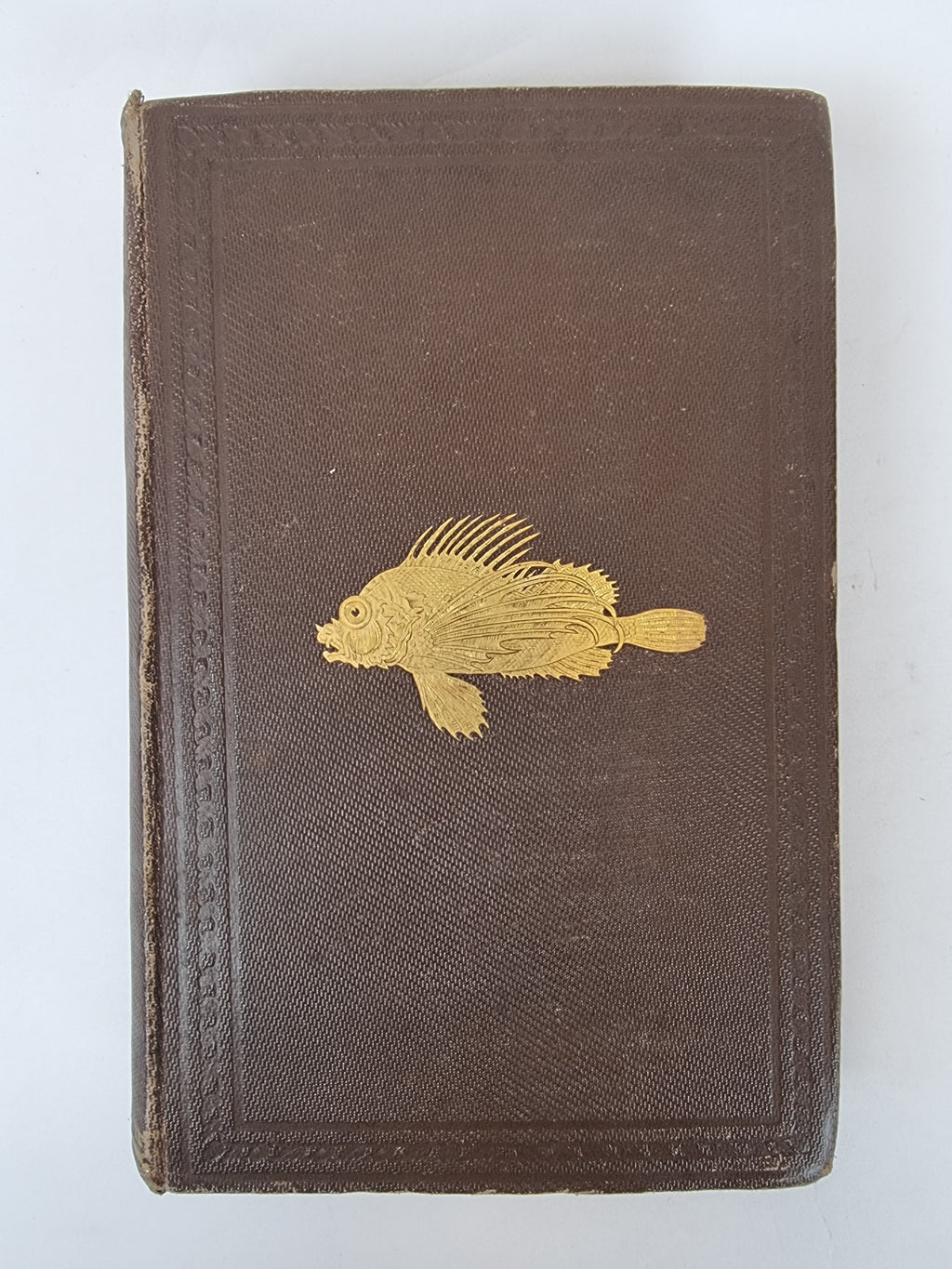 The Sea and Its Living Wonders, Dr. G. Hartwig — 1st Presentation Copy