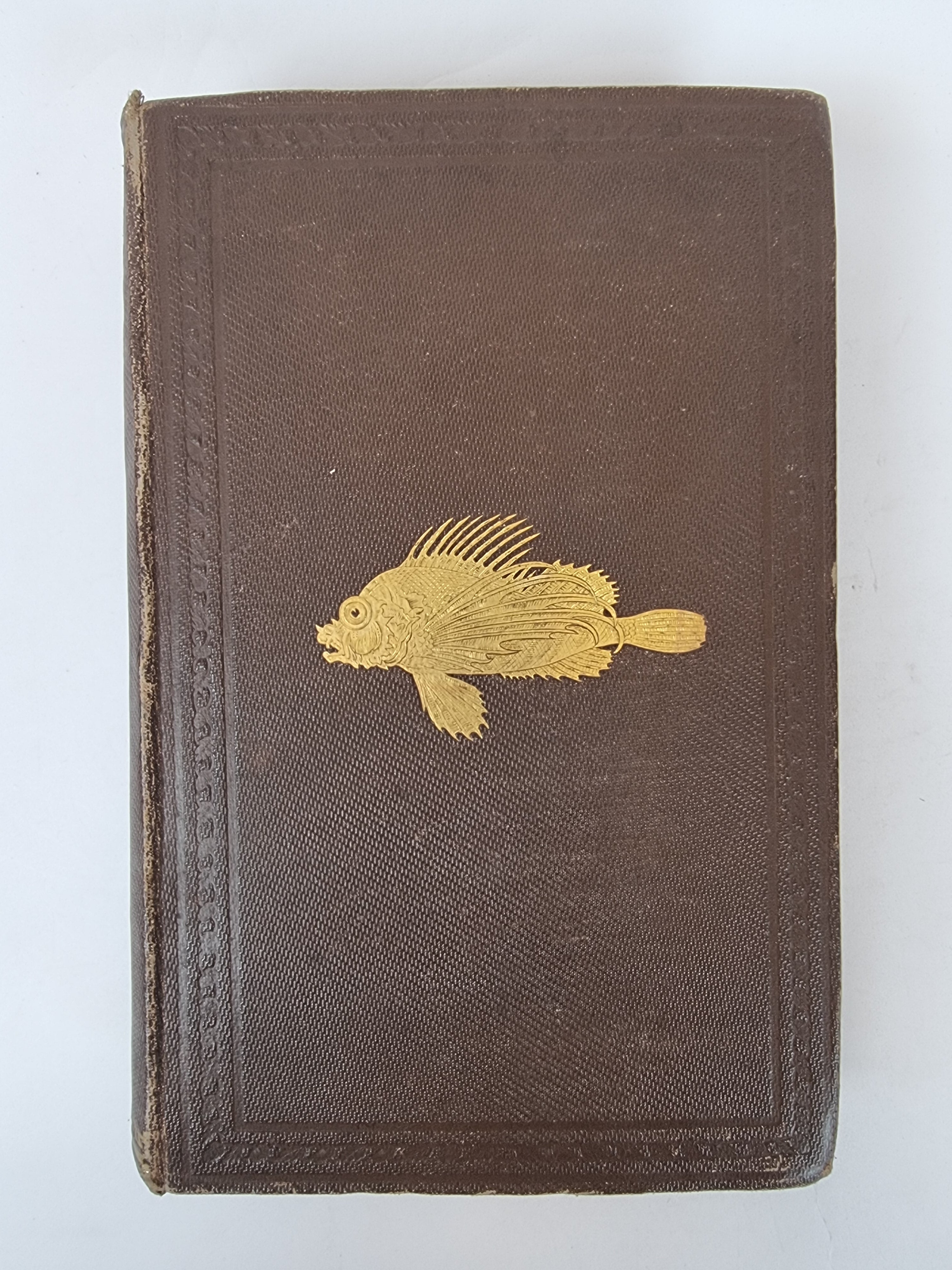 The Sea and Its Living Wonders, Dr. G. Hartwig — 1st Presentation Copy