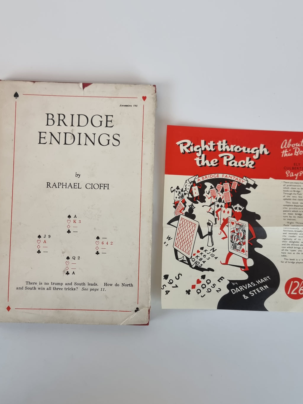 Bridge Endings, Raphael Cioffi — 1st Edition