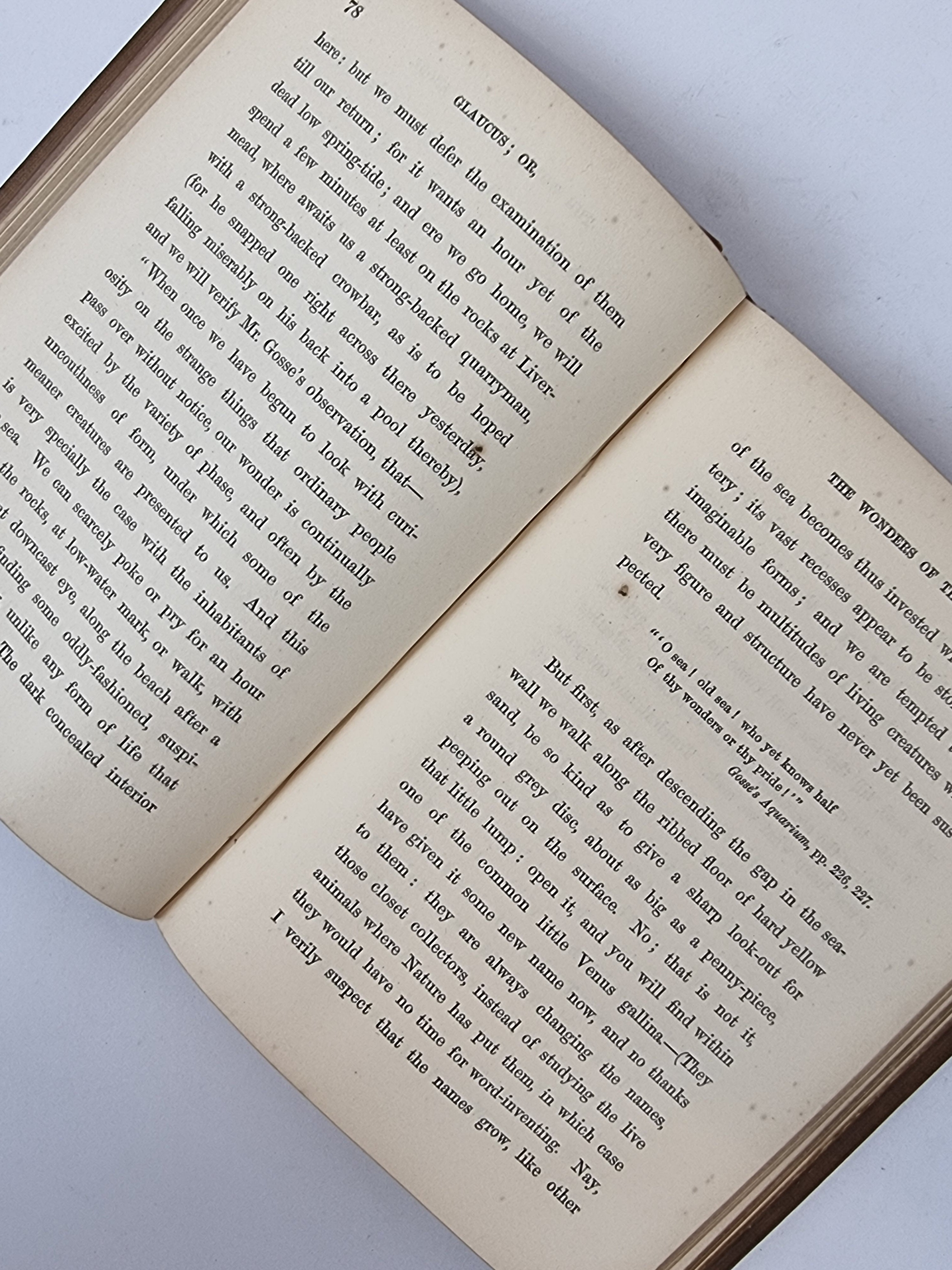 Glaucus; The Wonders of the Shore, Charles Kingsley — 4th Edition