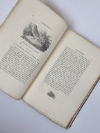 A Supplement to the History of British Birds, T. Bewick — 1st Edition
