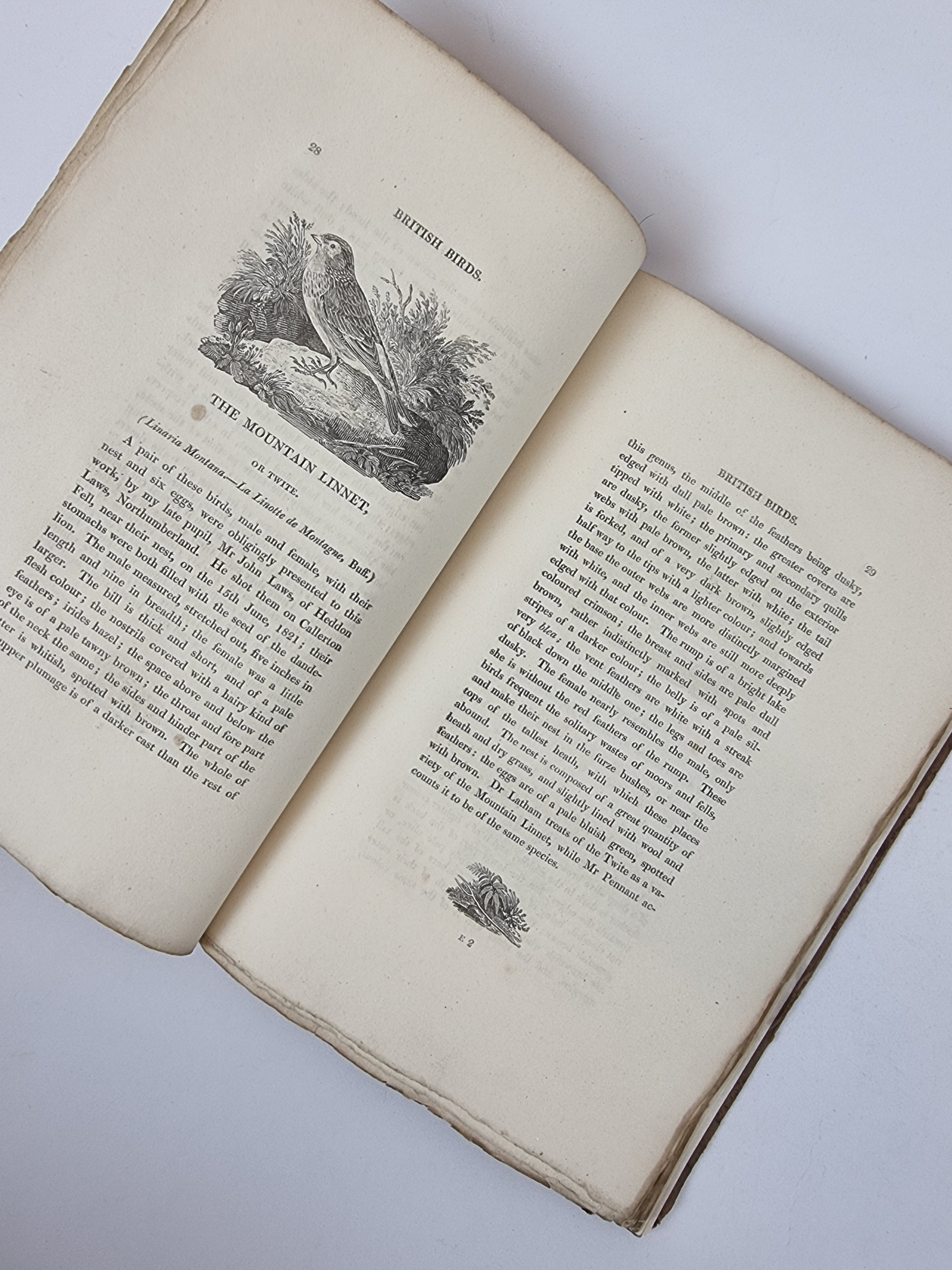 A Supplement to the History of British Birds, T. Bewick — 1st Edition