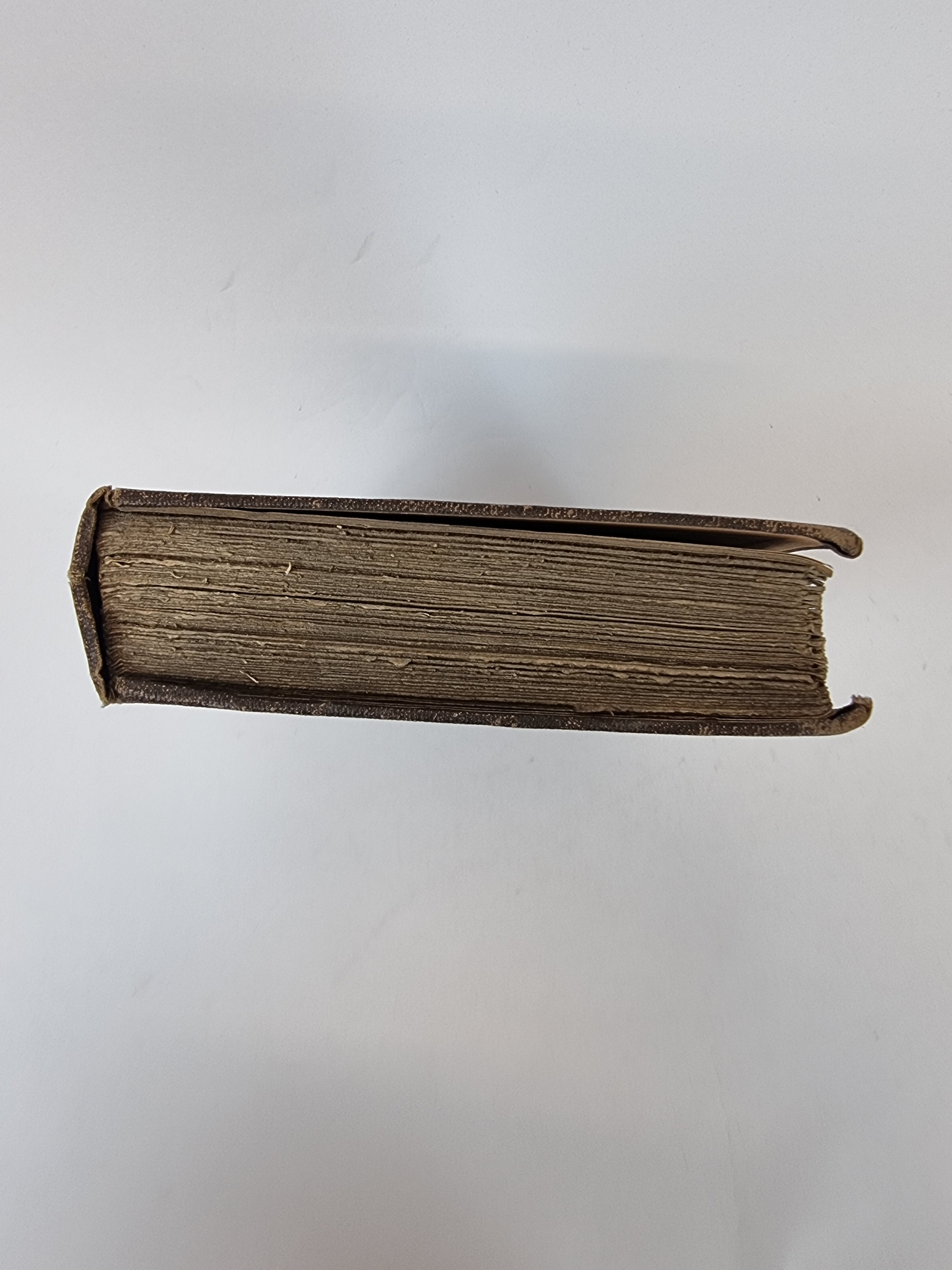 The Sea and Its Living Wonders, Dr. G. Hartwig — 1st Presentation Copy