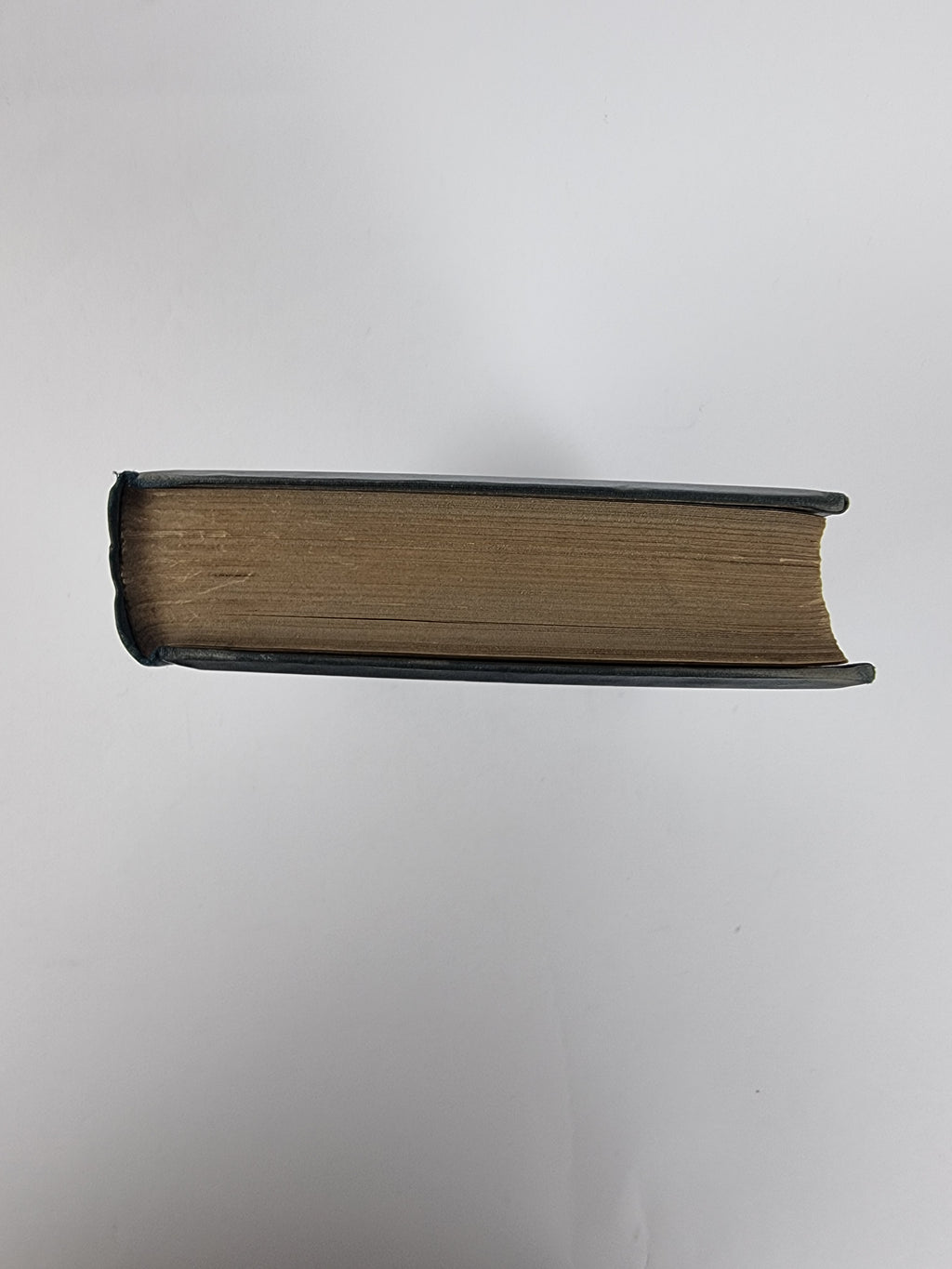 Swallow, H. Rider Haggard — 1st Edition