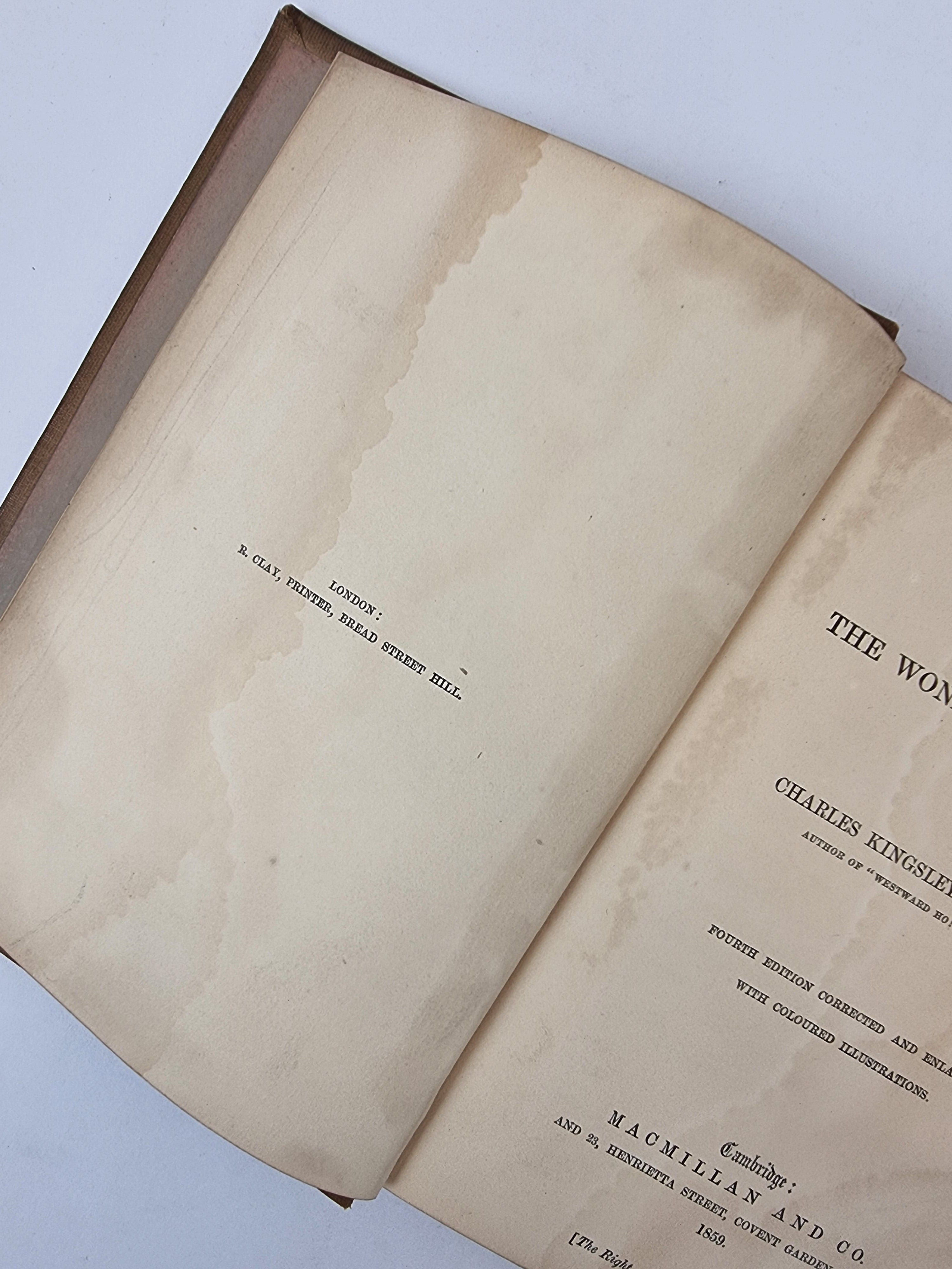 Glaucus; The Wonders of the Shore, Charles Kingsley — 4th Edition