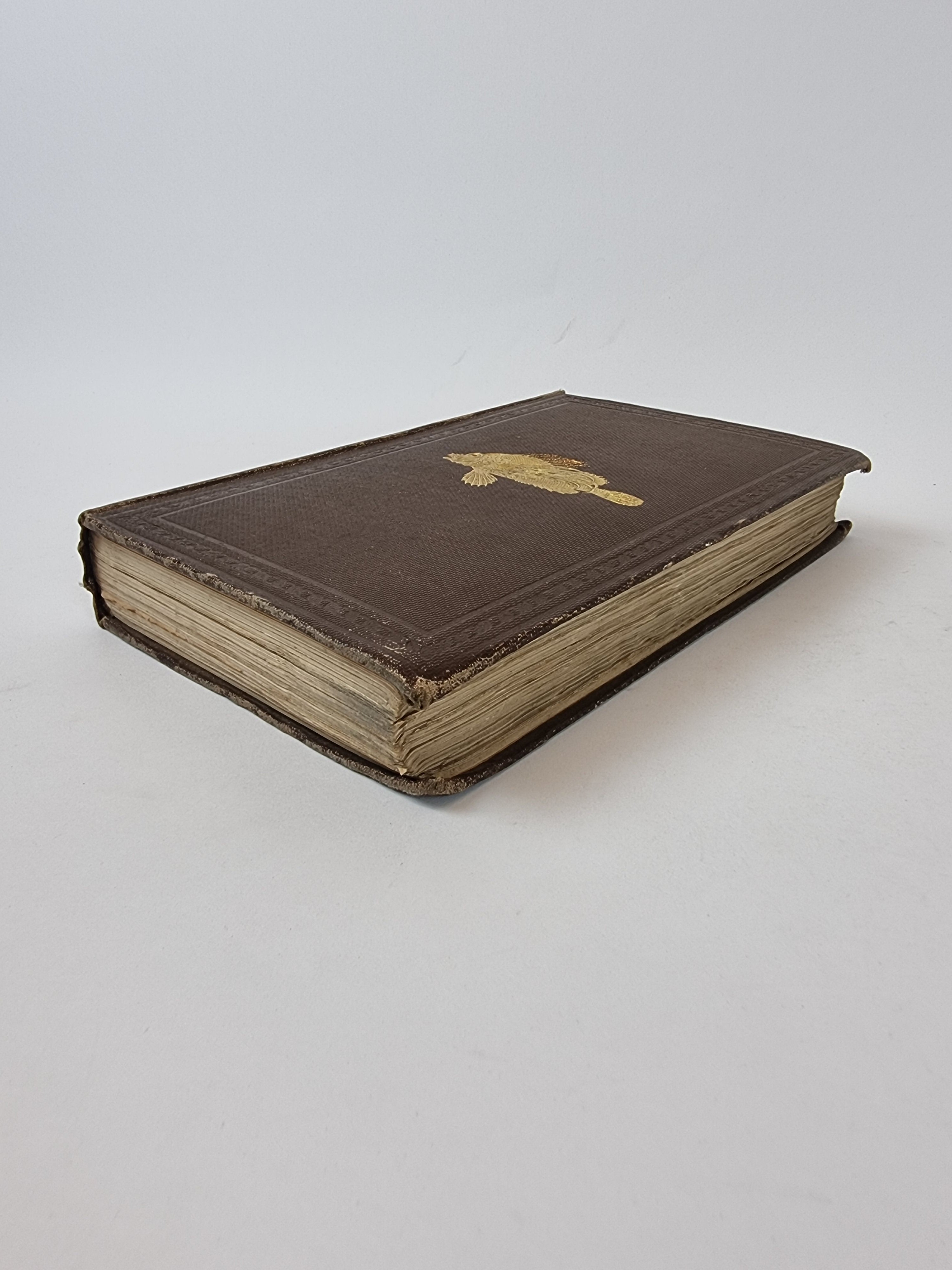 The Sea and Its Living Wonders, Dr. G. Hartwig — 1st Presentation Copy