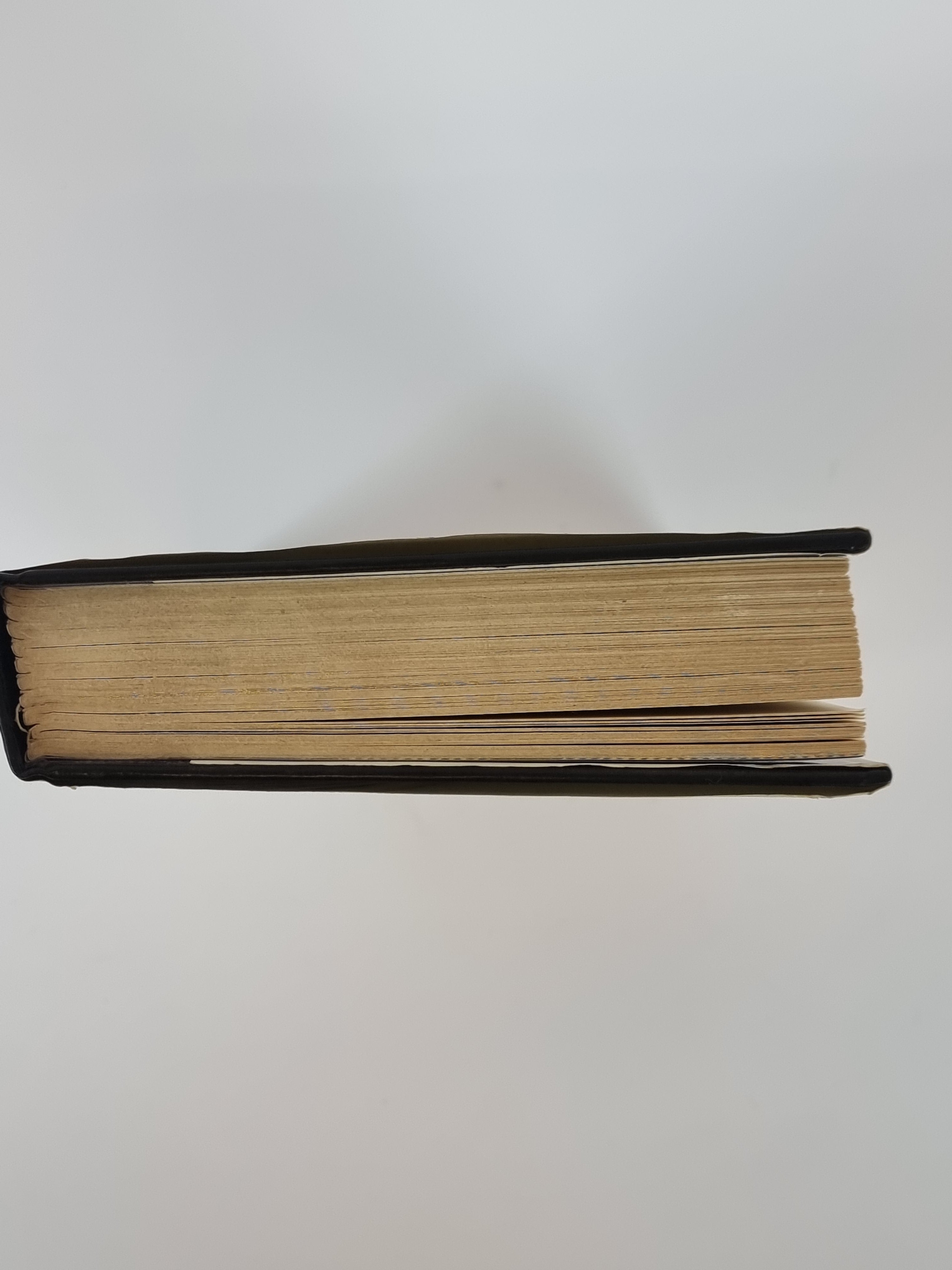 Superstar: A Novel, Viva — 1st UK Edition