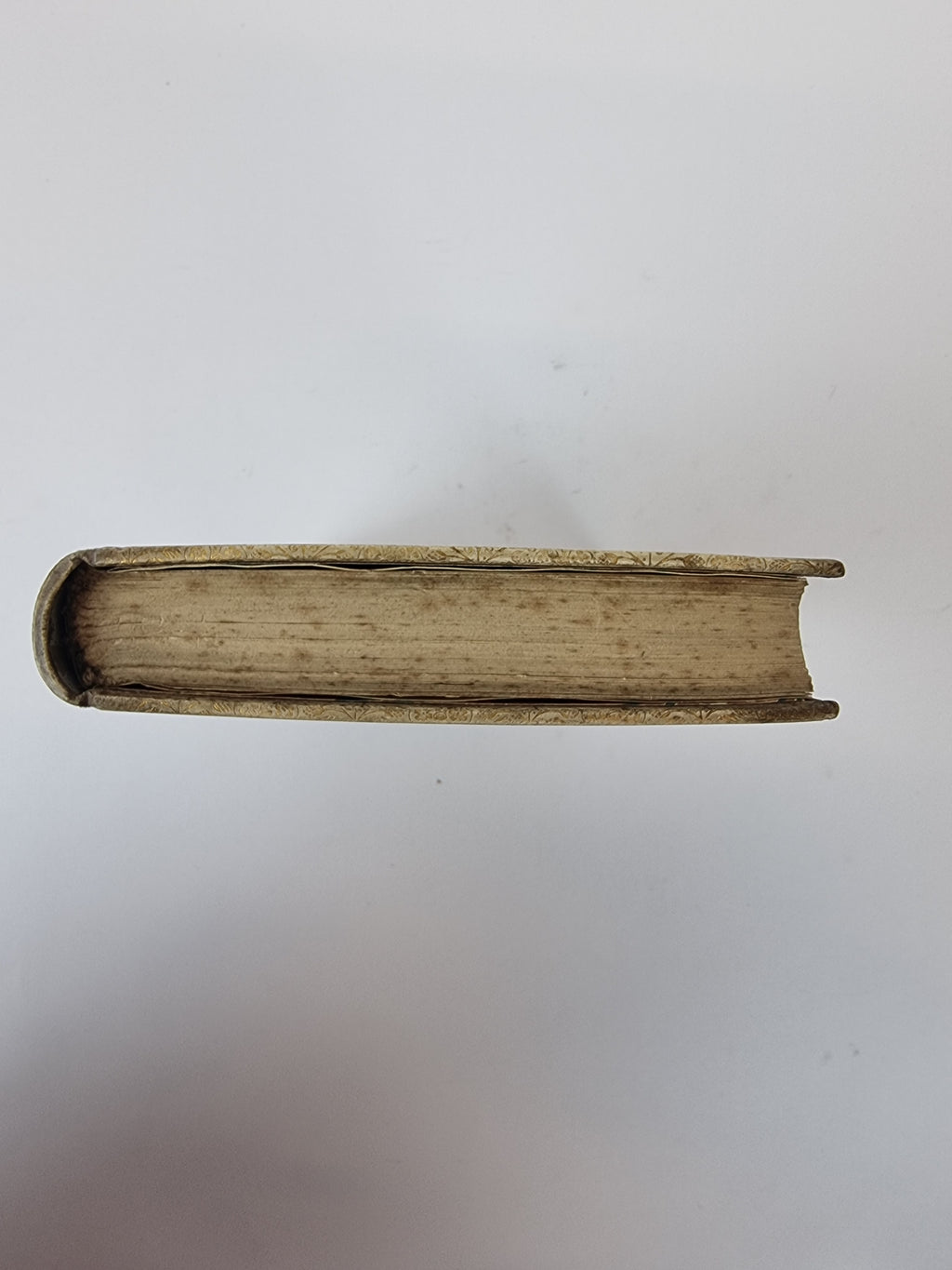 Amelia Etc; Prefatory Study on English Metrical Law, Coventry Patmore — 1st Ed
