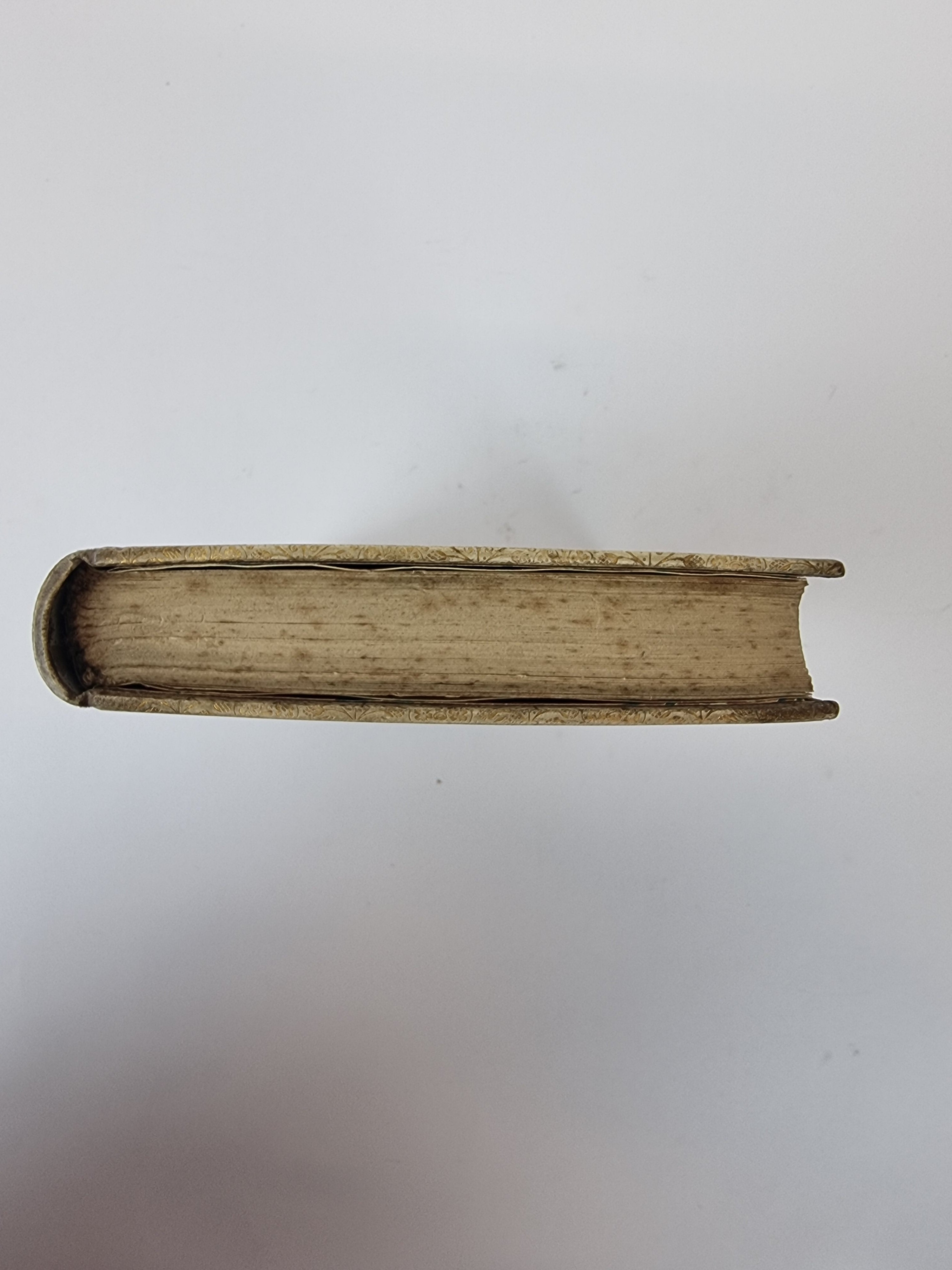 Amelia Etc; Prefatory Study on English Metrical Law, Coventry Patmore — 1st Ed