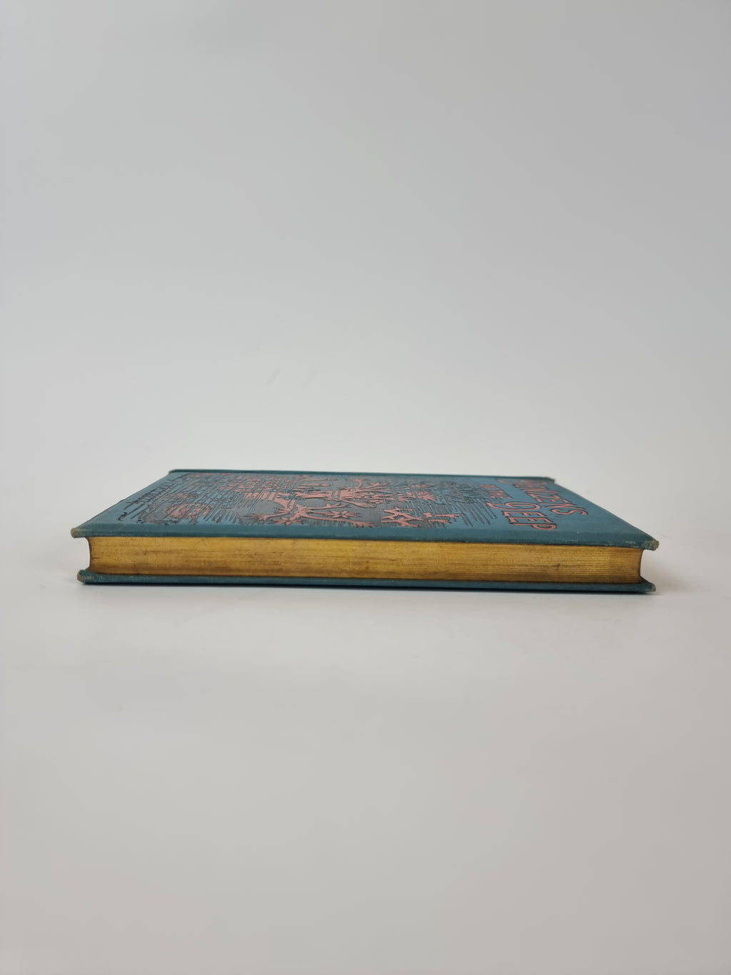 Denizens of the Deep, Dr. G. Hartwig — 1st Edition
