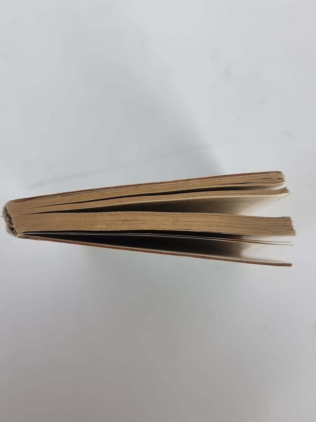 Record of Sports — 7th Edition