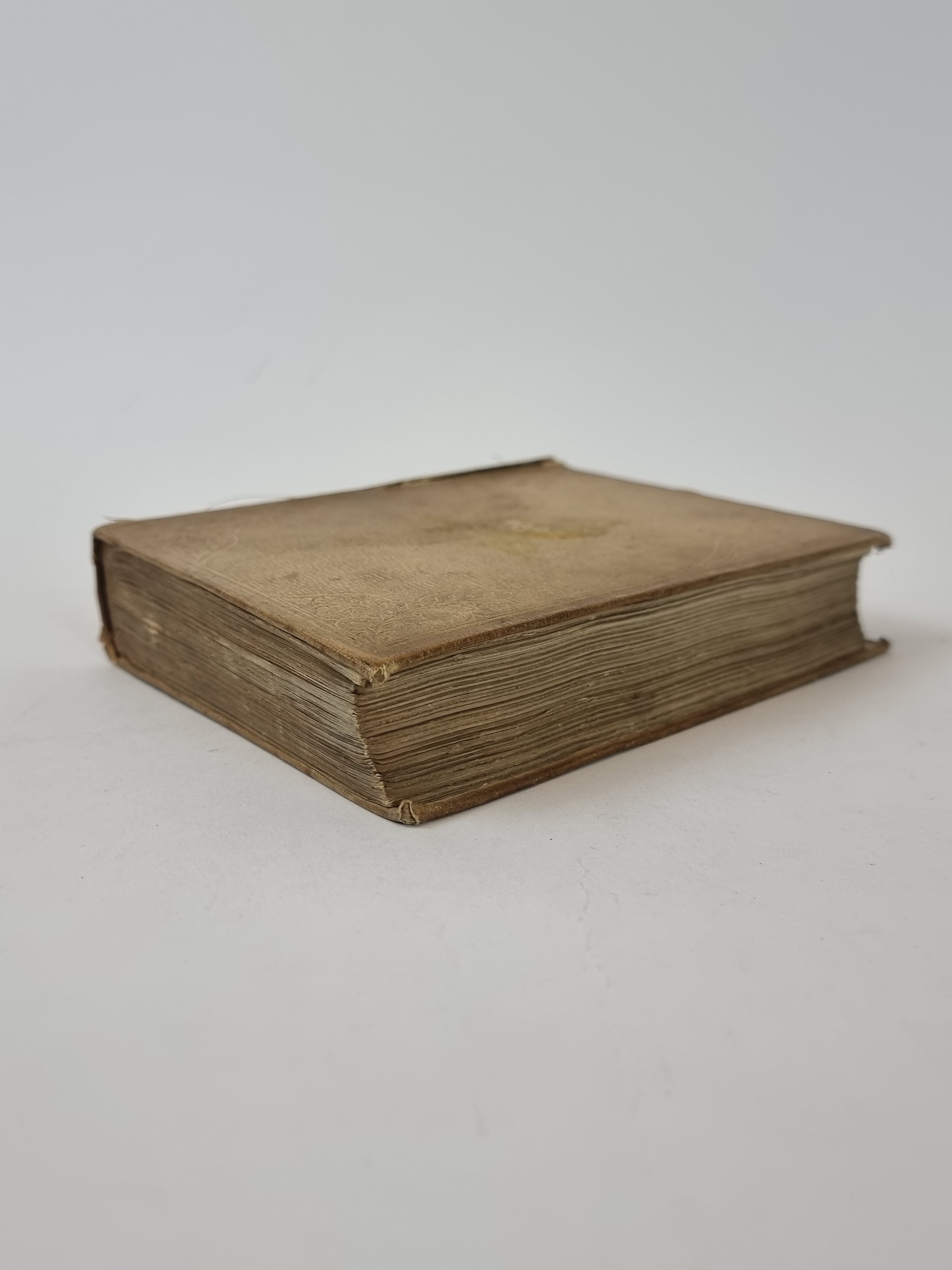A Popular History of the Mollusca, Mary Roberts — 1st Edition
