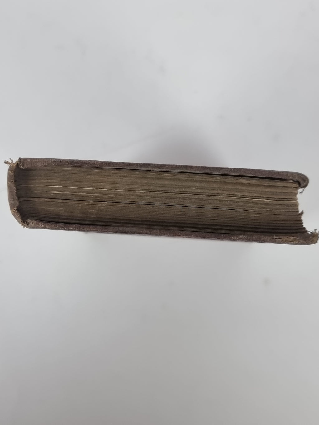 The Book of the Aquarium, Shirley Hibberd — 2 Parts in 1