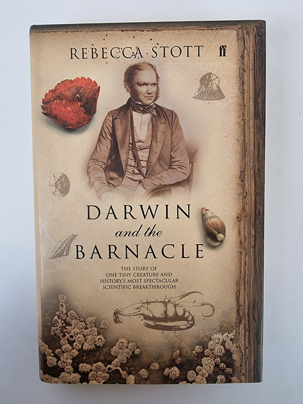 Darwin and the Barnacle, Rebecca Stott — 1st Edition