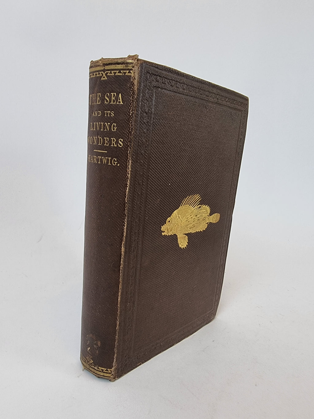 The Sea and Its Living Wonders, Dr. G. Hartwig — 1st Presentation Copy