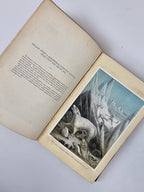 The Sea and Its Living Wonders, Dr. G. Hartwig — 1st Presentation Copy