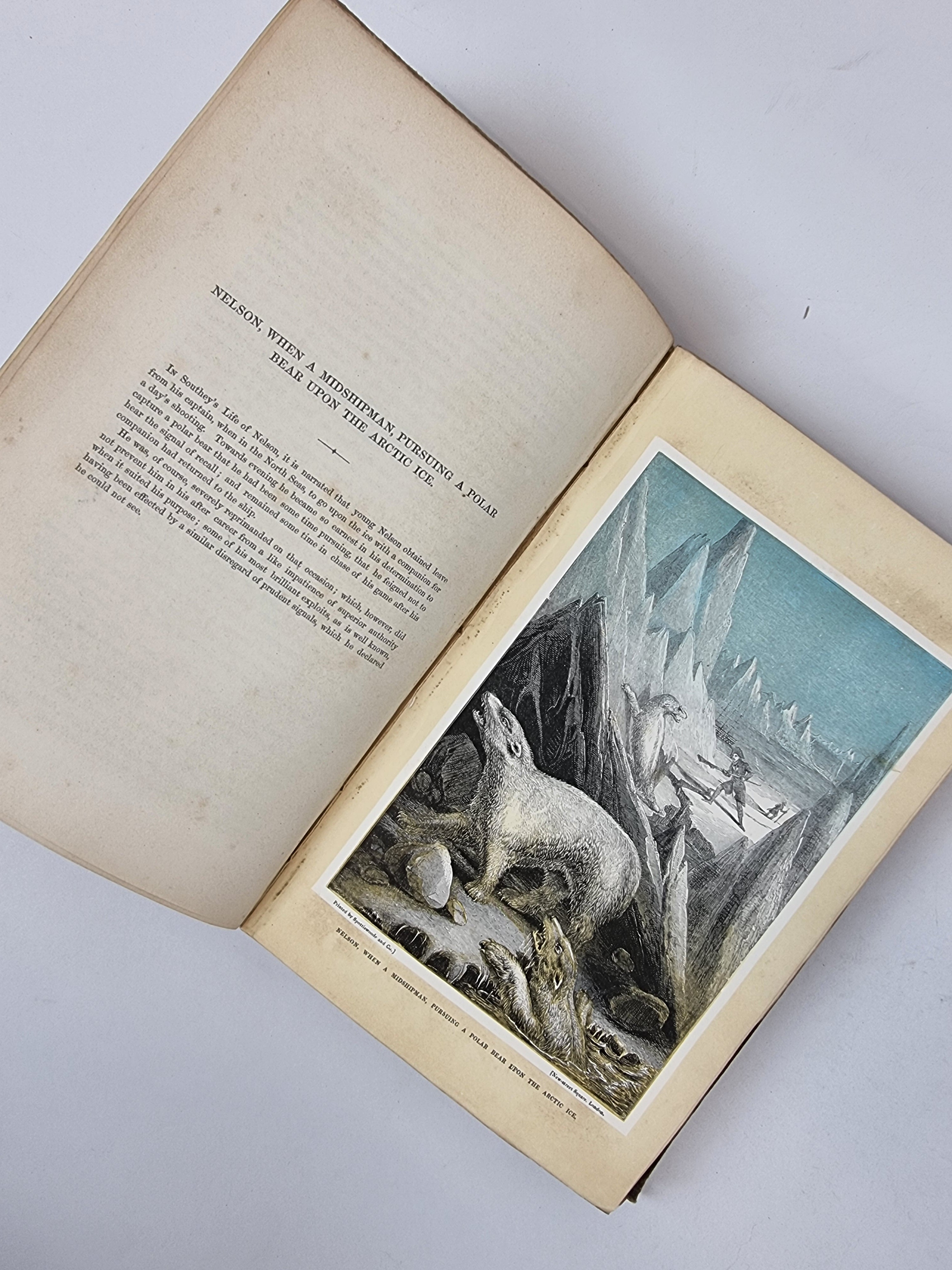 The Sea and Its Living Wonders, Dr. G. Hartwig — 1st Presentation Copy