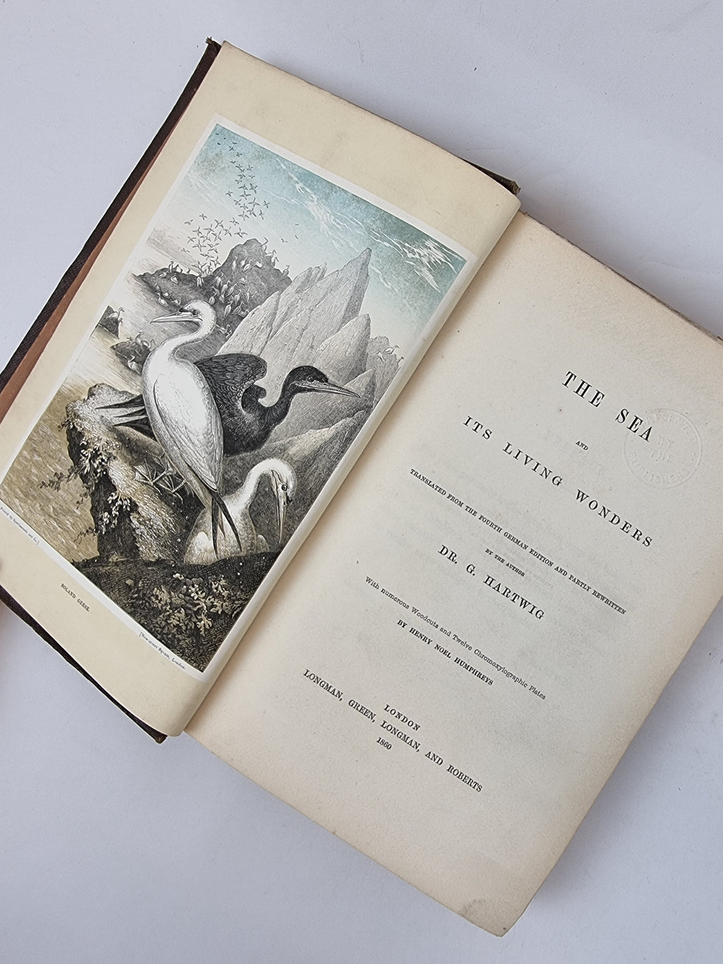 The Sea and Its Living Wonders, Dr. G. Hartwig — 1st Presentation Copy
